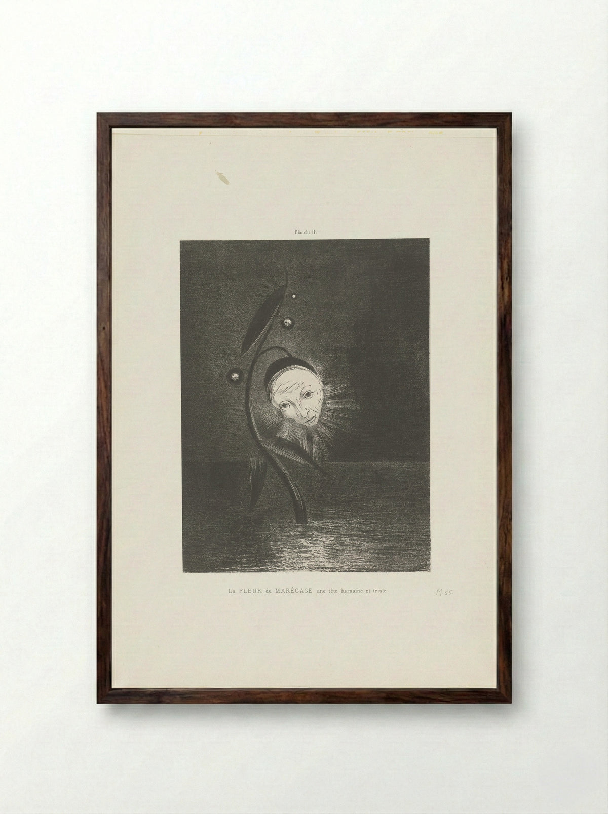La Fleur du Marécage, une tête humaine et triste - Odilon Redon - Framed Print Dark Wood