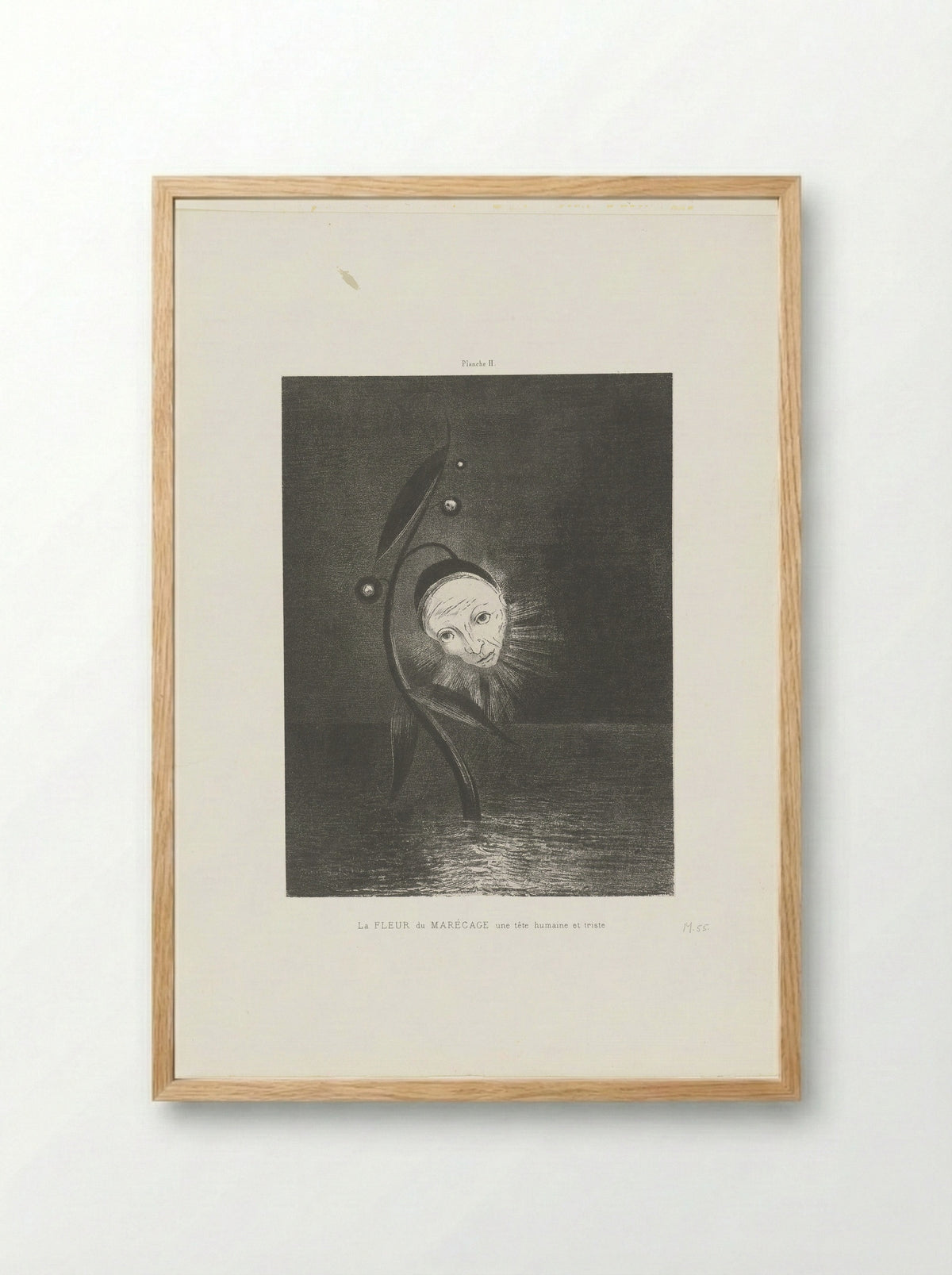 La Fleur du Marécage, une tête humaine et triste - Odilon Redon - Framed Print Wood