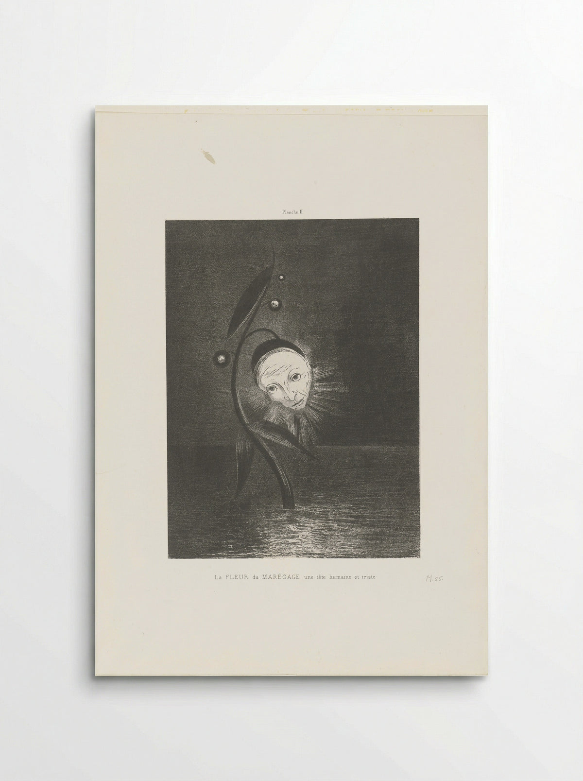 La Fleur du Marécage, une tête humaine et triste - Odilon Redon - Poster
