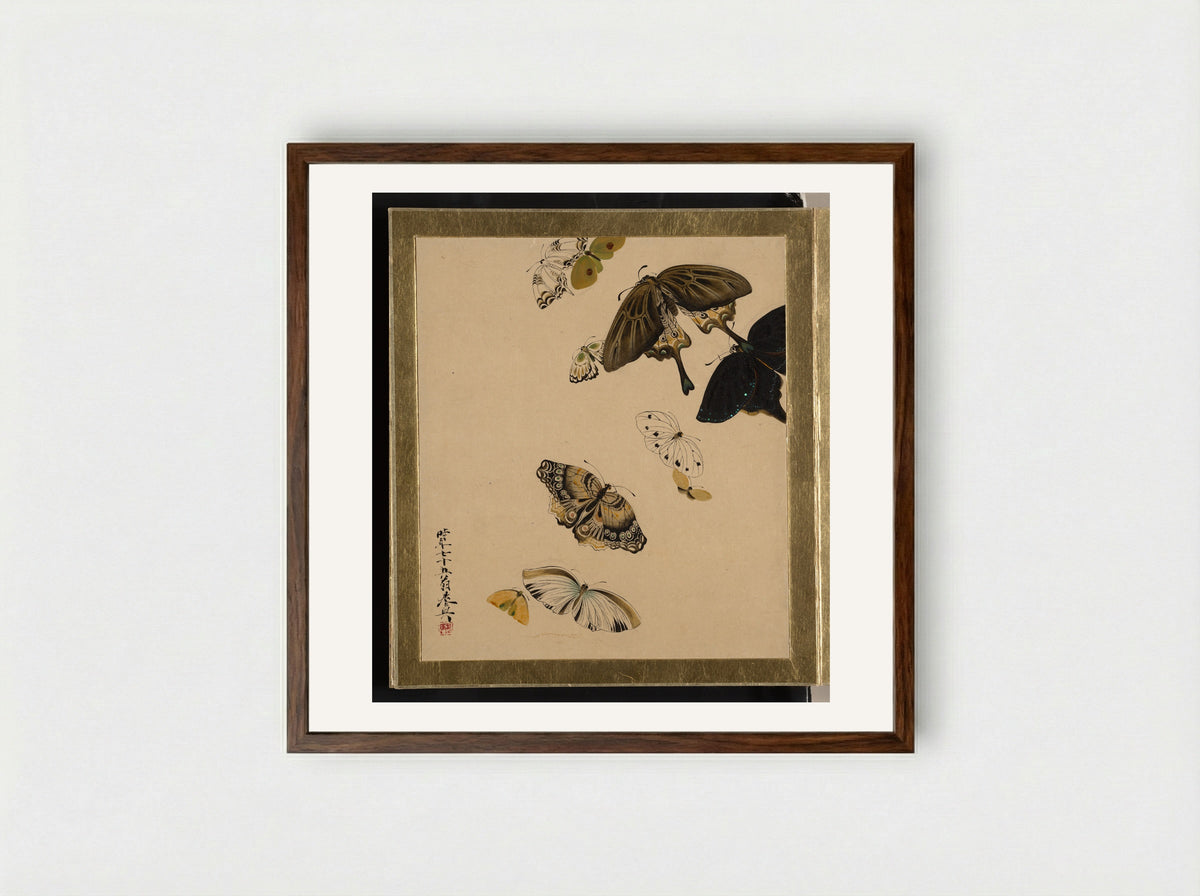Lacquer Paintings of Various Subjects: Butterflies - Shibata Zeshin - Framed Print Dark Wood