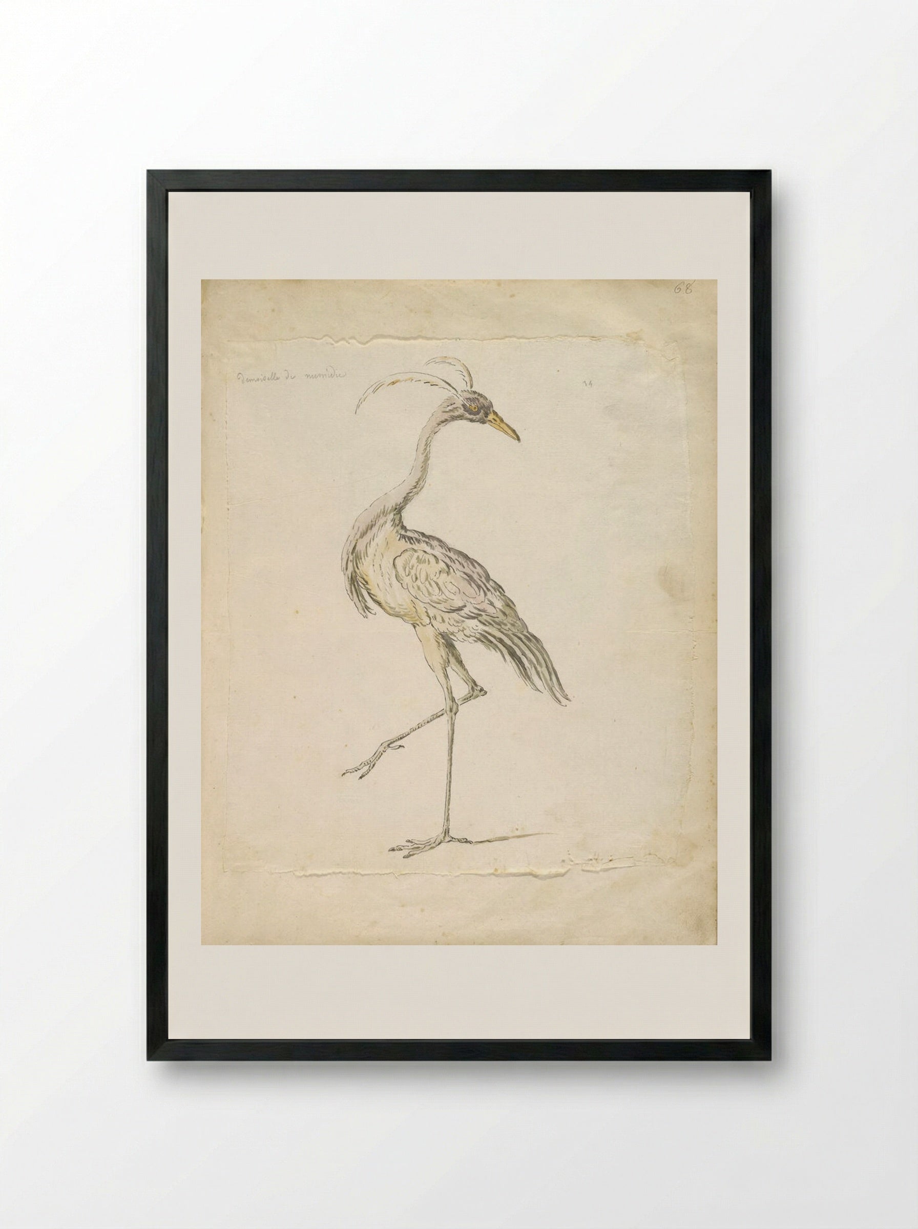 Lady of Numidia - Jean-Baptiste Oudry - Framed Print Black