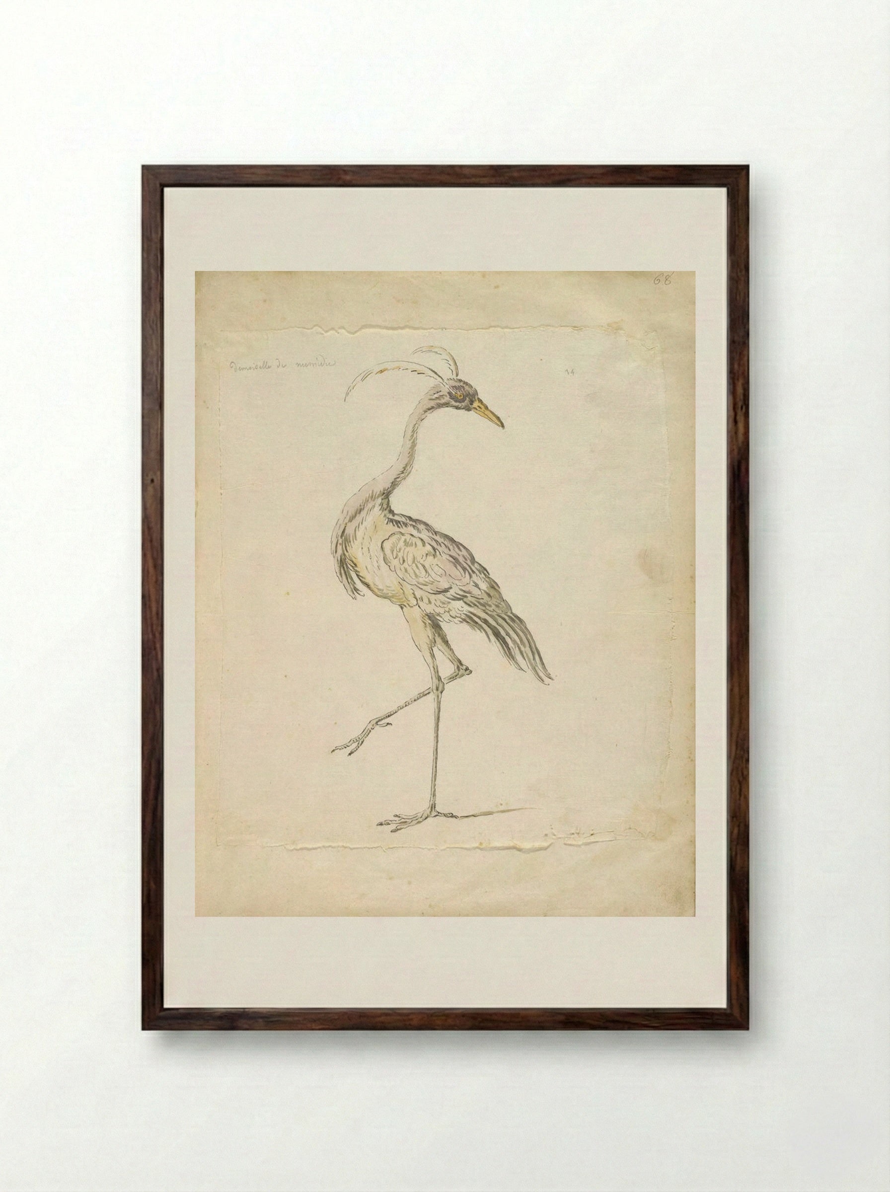 Lady of Numidia - Jean-Baptiste Oudry - Framed Print Dark Wood
