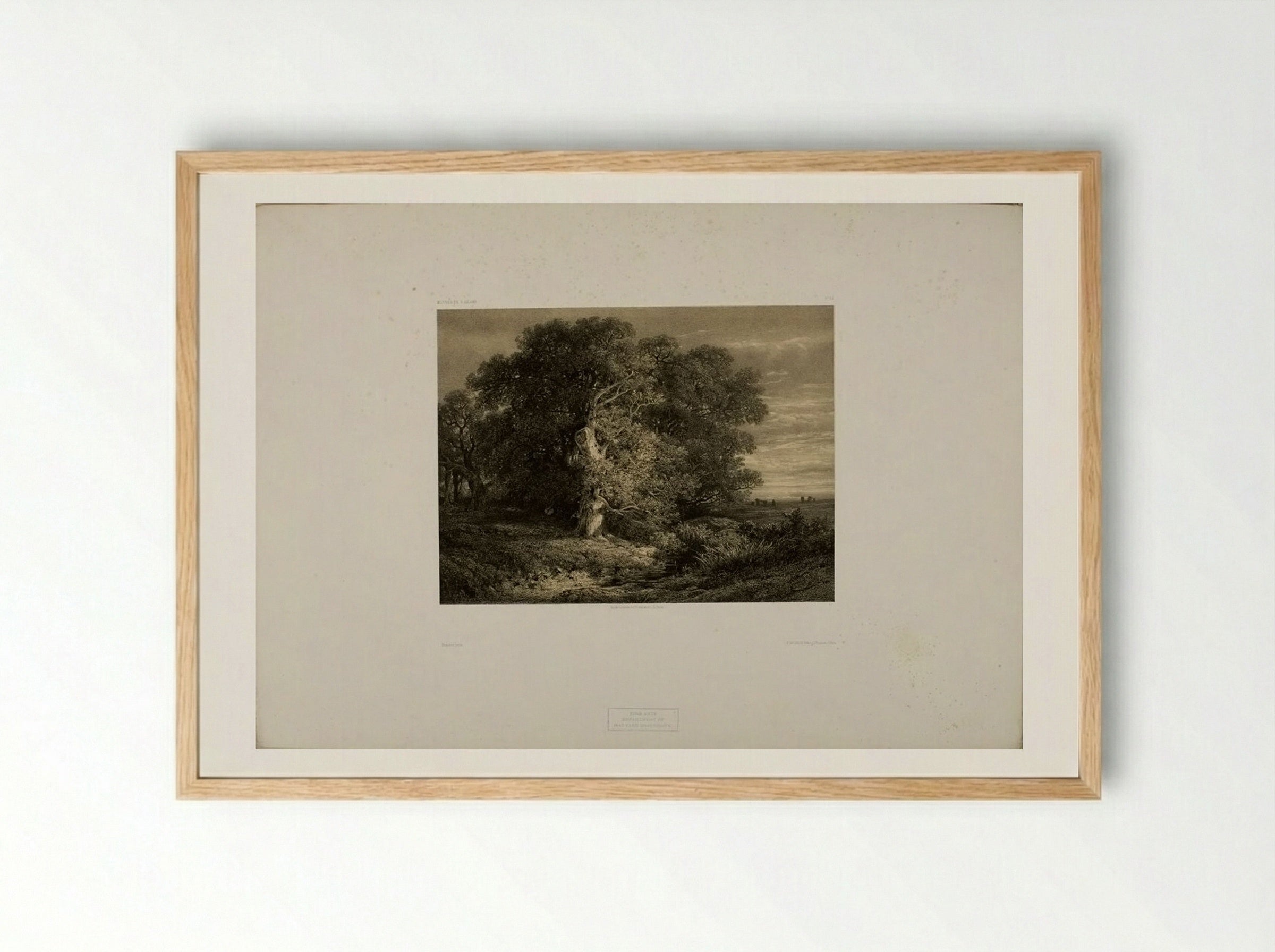 Landscape No. 43 - Alexandre Calame - Framed Print Wood