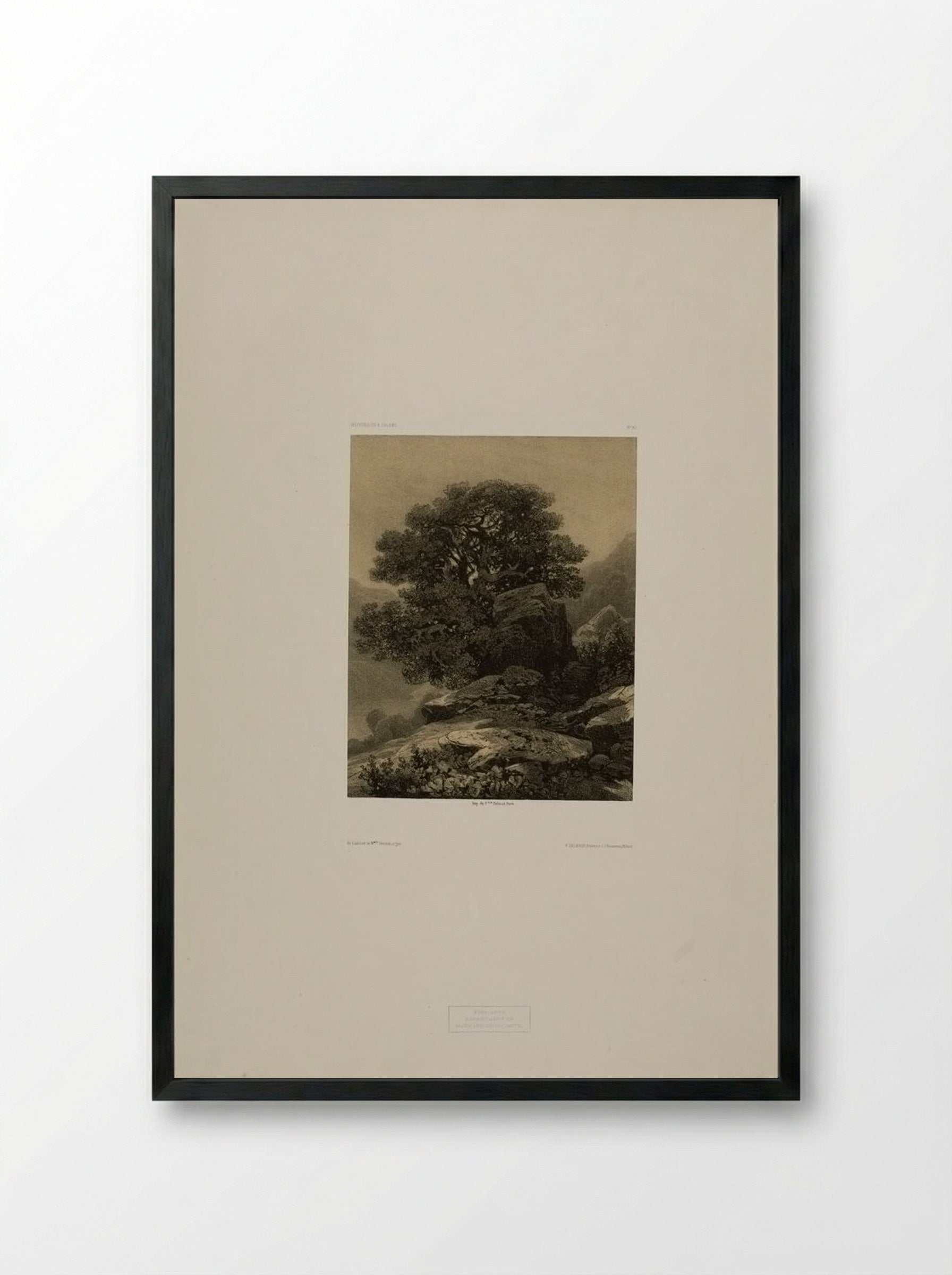 Landscape Number 61 - Alexandre Calame - Framed Print Black