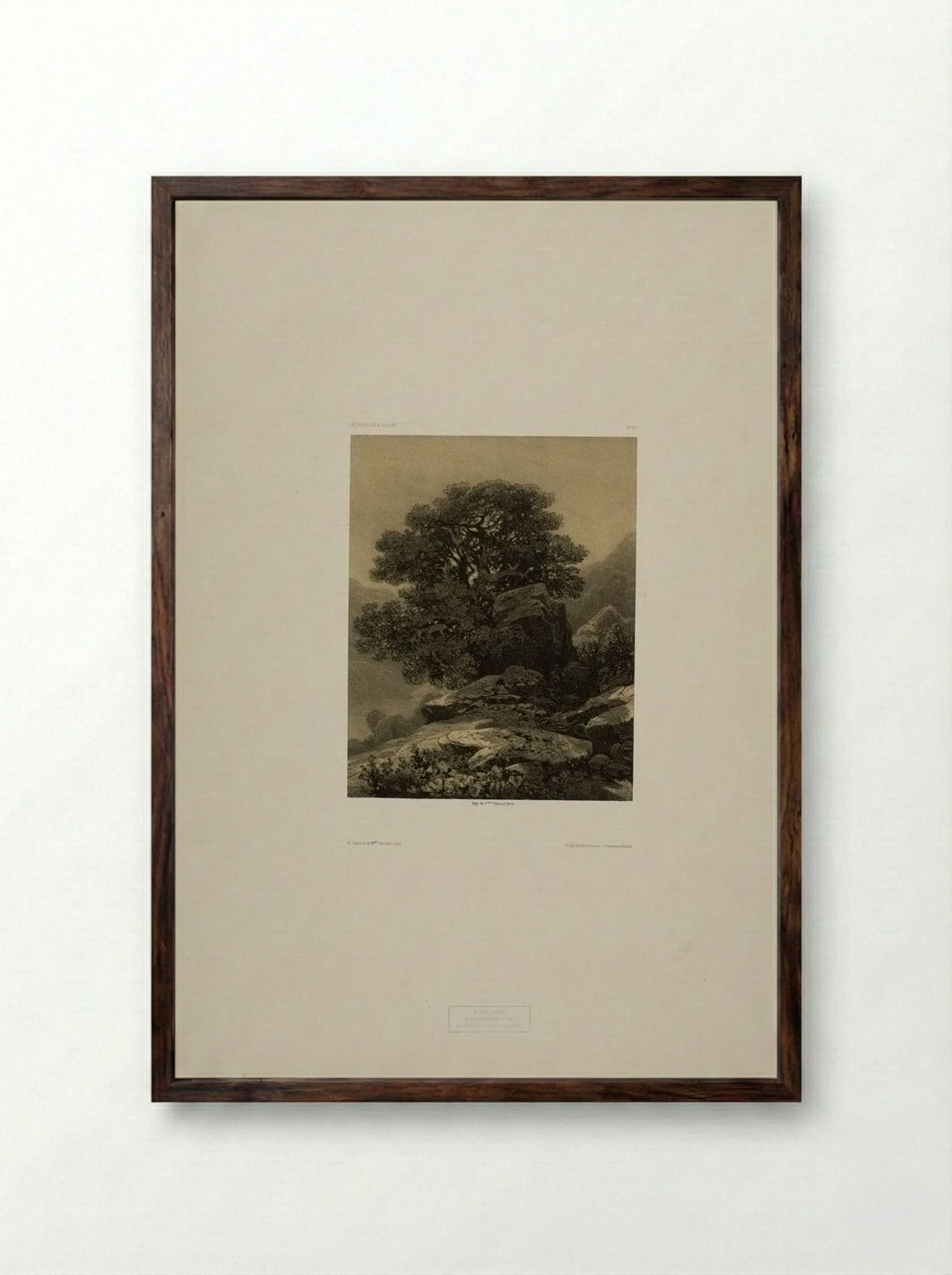 Landscape Number 61 - Alexandre Calame - Framed Print Dark Wood