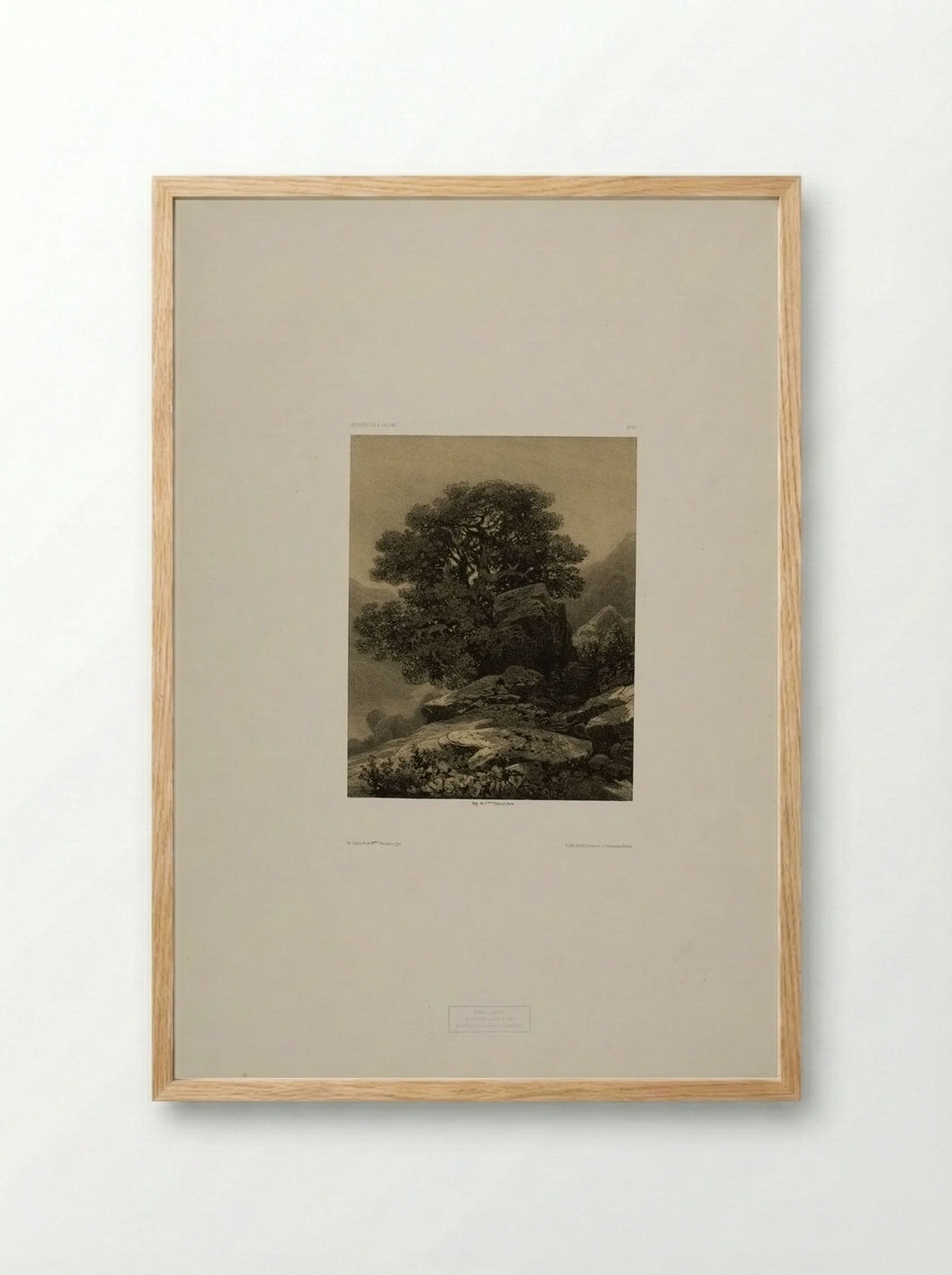 Landscape Number 61 - Alexandre Calame - Framed Print Wood
