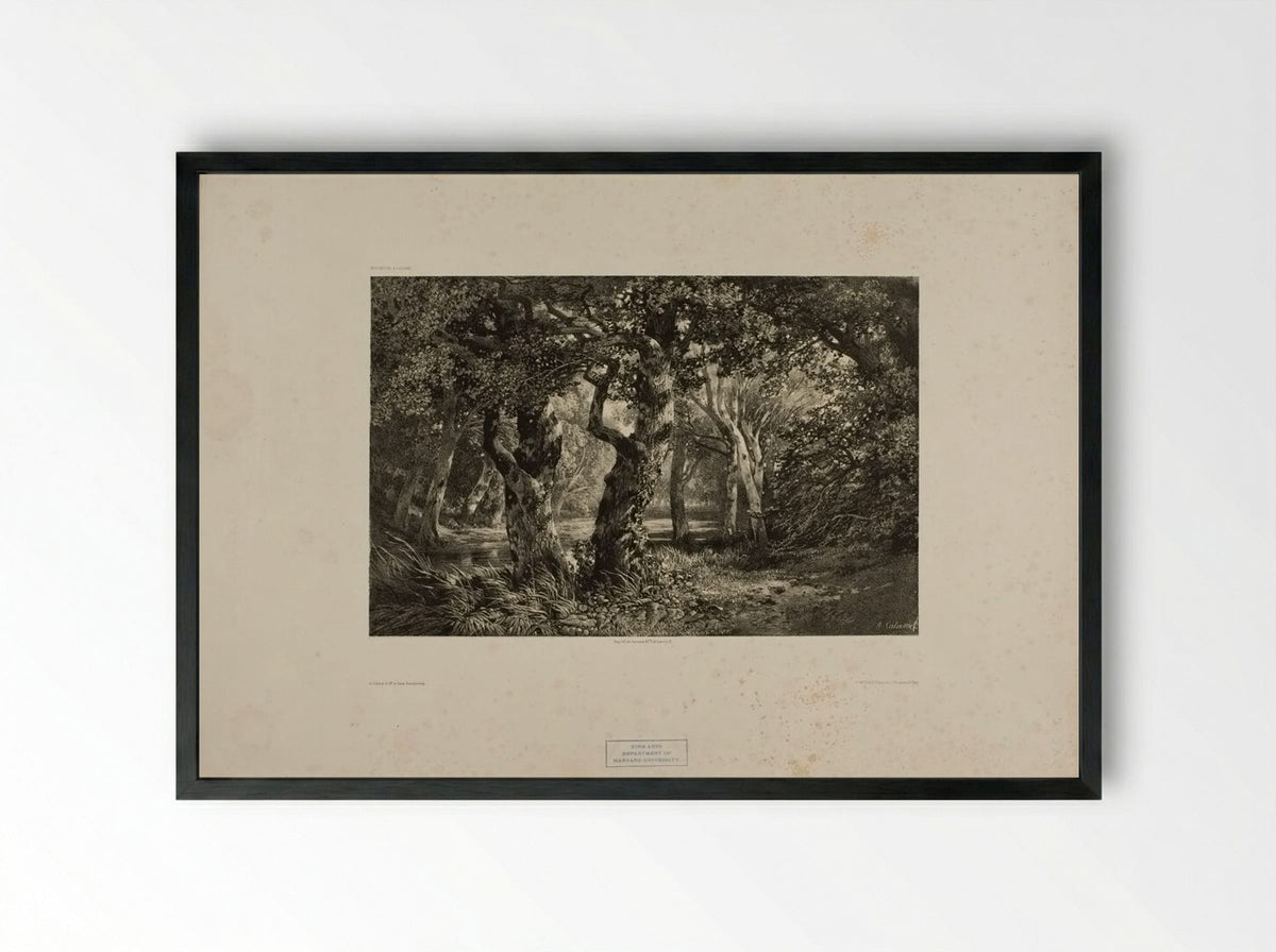 Landscape Number 6 - Alexandre Calame - Framed Print Black