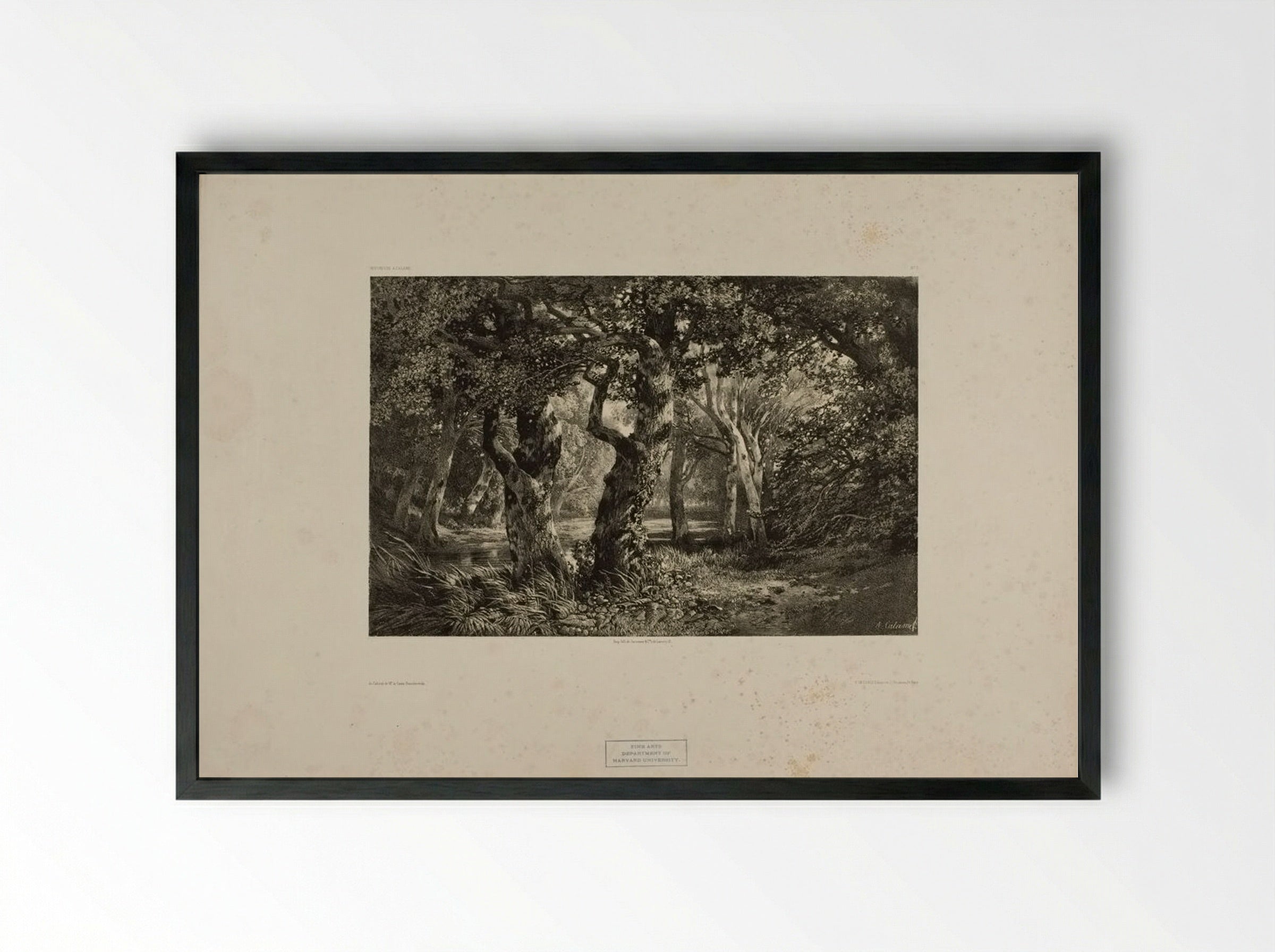 Landscape Number 6 - Alexandre Calame - Framed Print Black