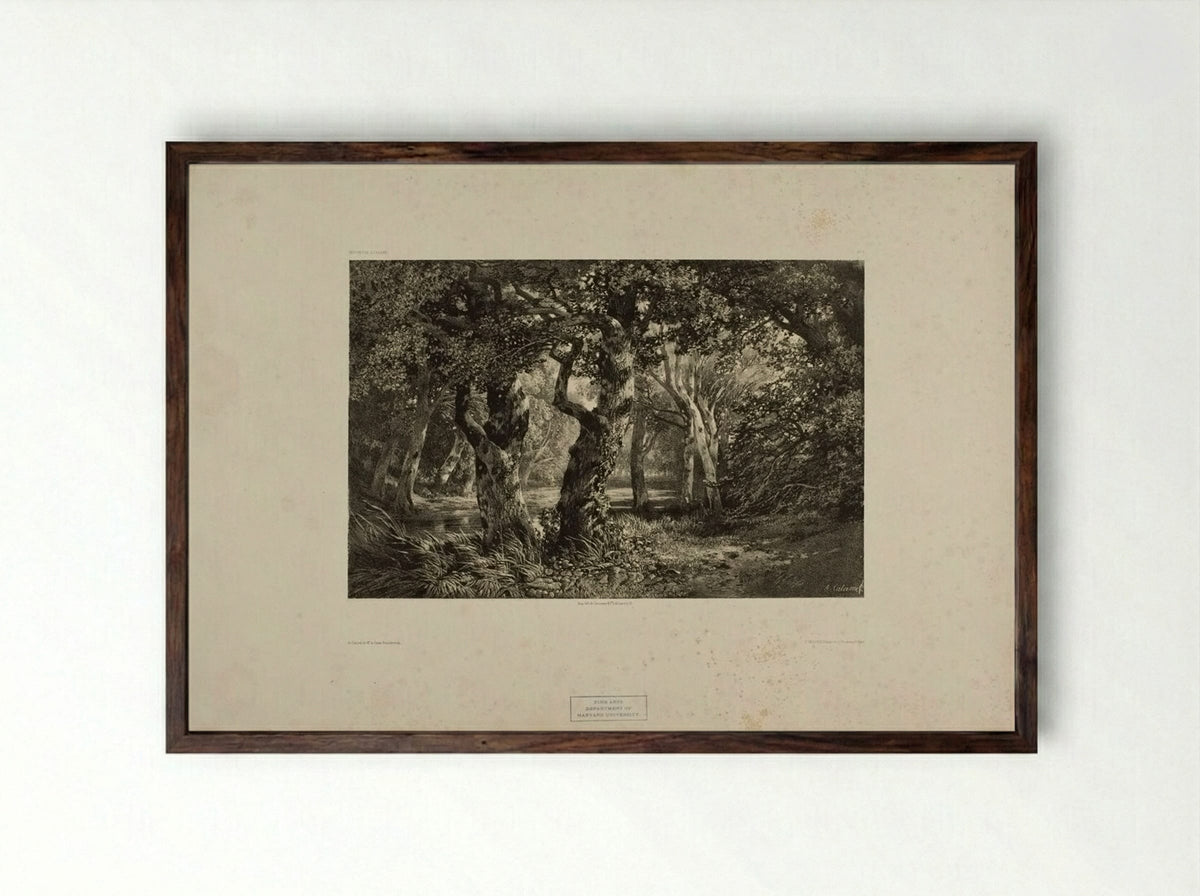 Landscape Number 6 - Alexandre Calame - Framed Print Dark Wood