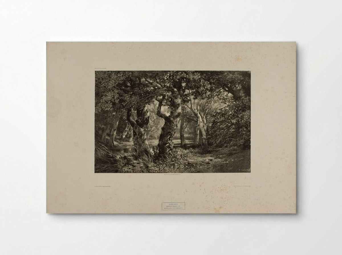 Landscape Number 6 - Alexandre Calame - Poster