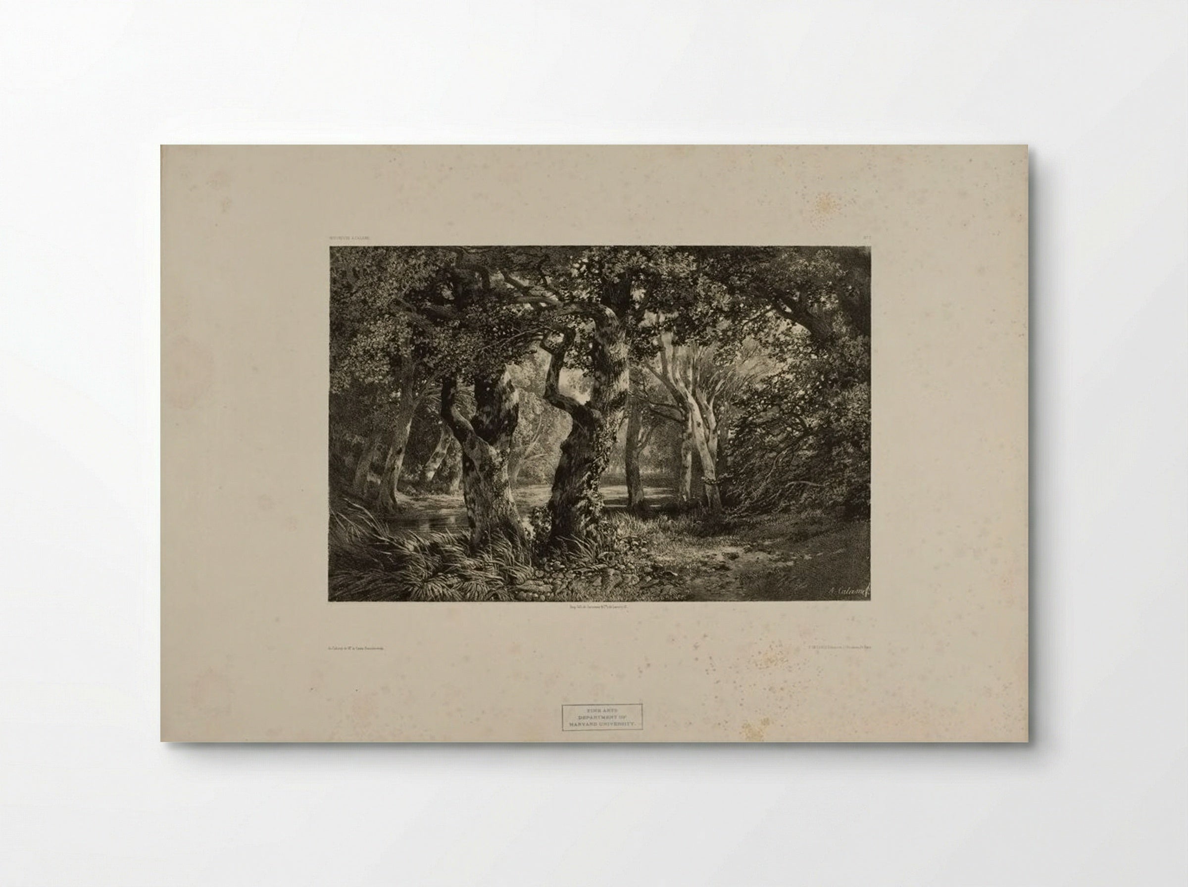 Landscape Number 6 - Alexandre Calame - Poster