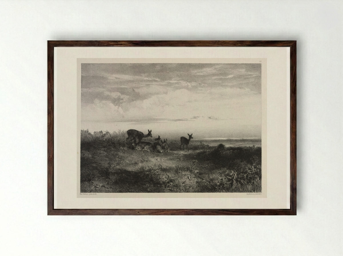 Landscape with Deer - Karl Bodmer - Framed Print Dark Wood