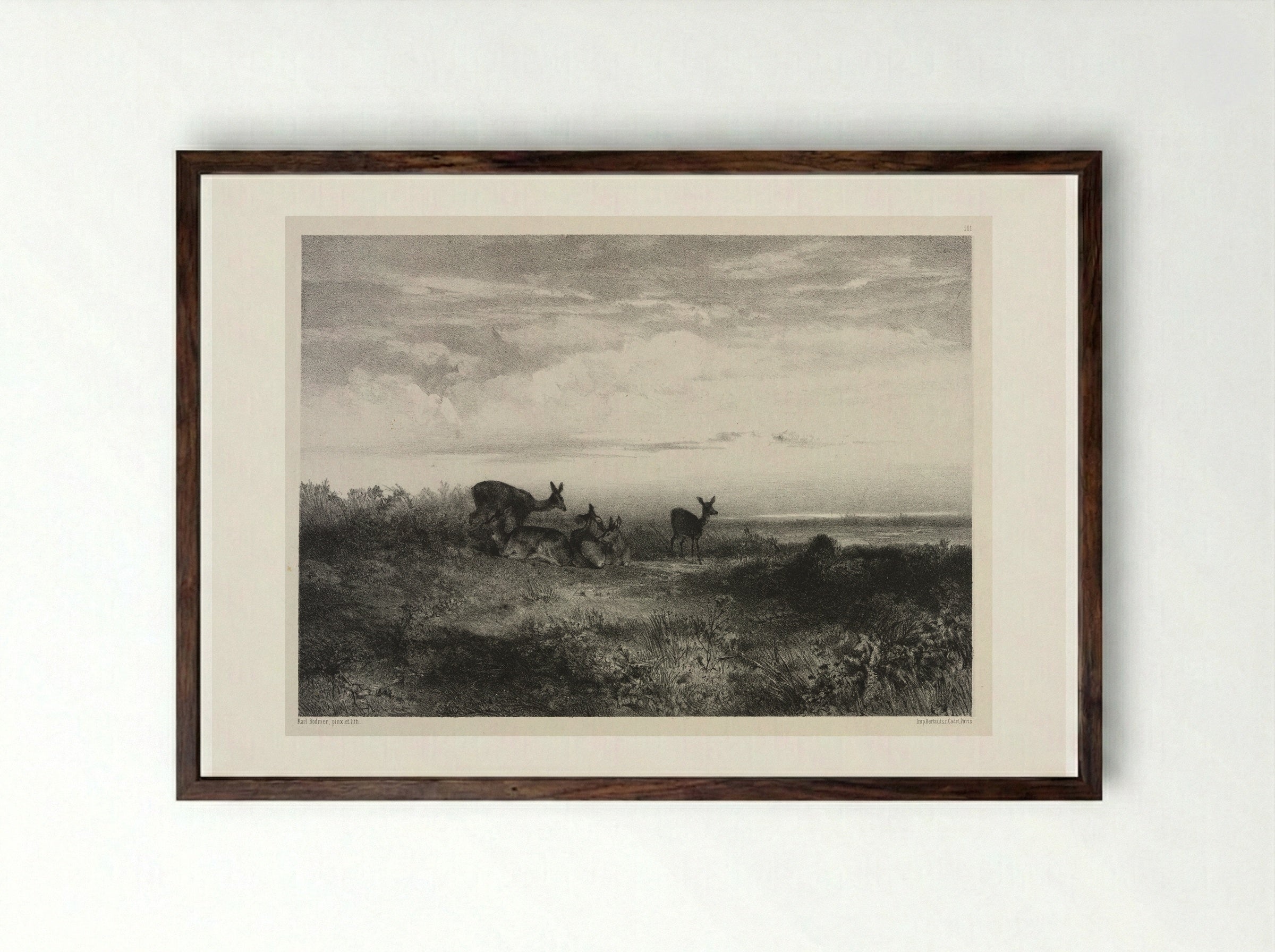 Landscape with Deer - Karl Bodmer - Framed Print Dark Wood