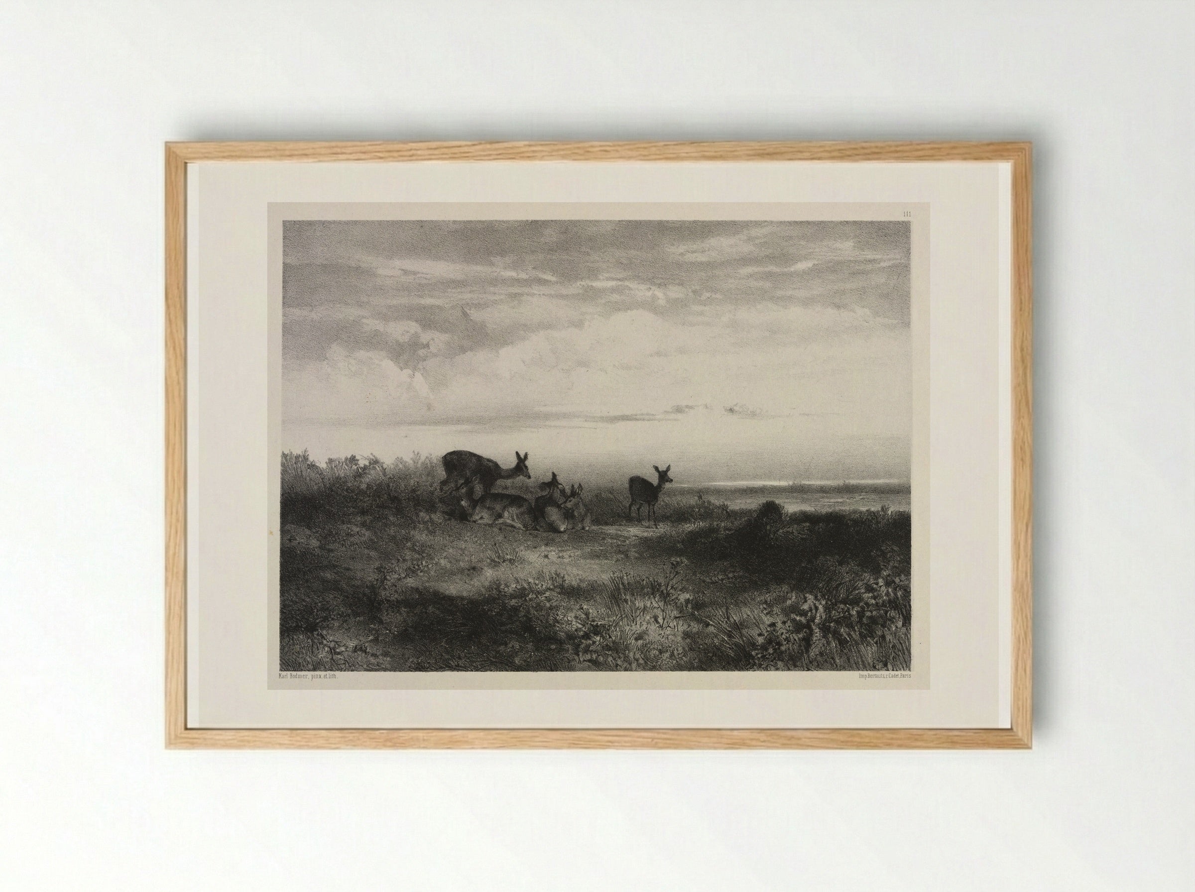 Landscape with Deer - Karl Bodmer - Framed Print Wood