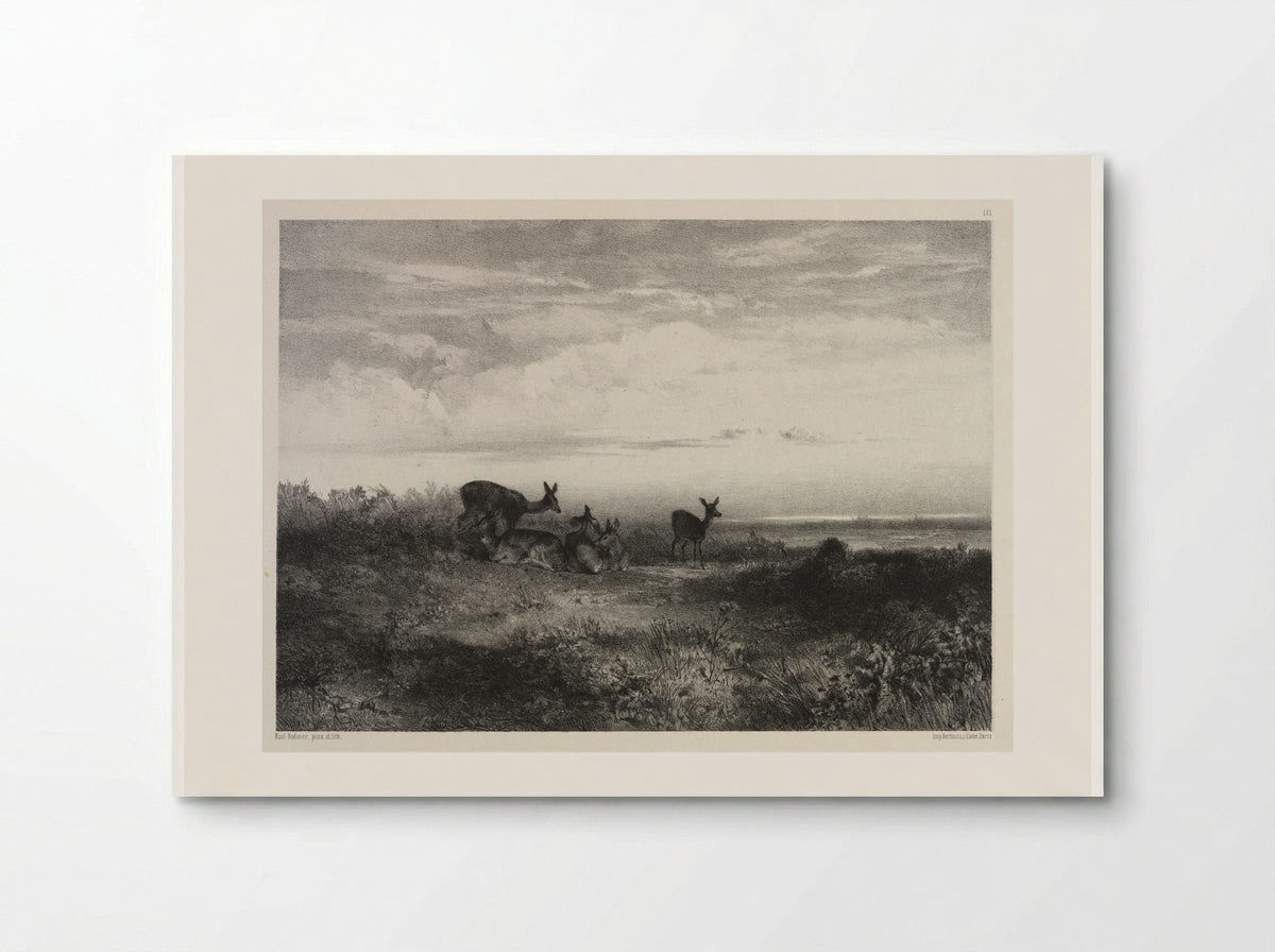 Landscape with Deer - Karl Bodmer - Poster