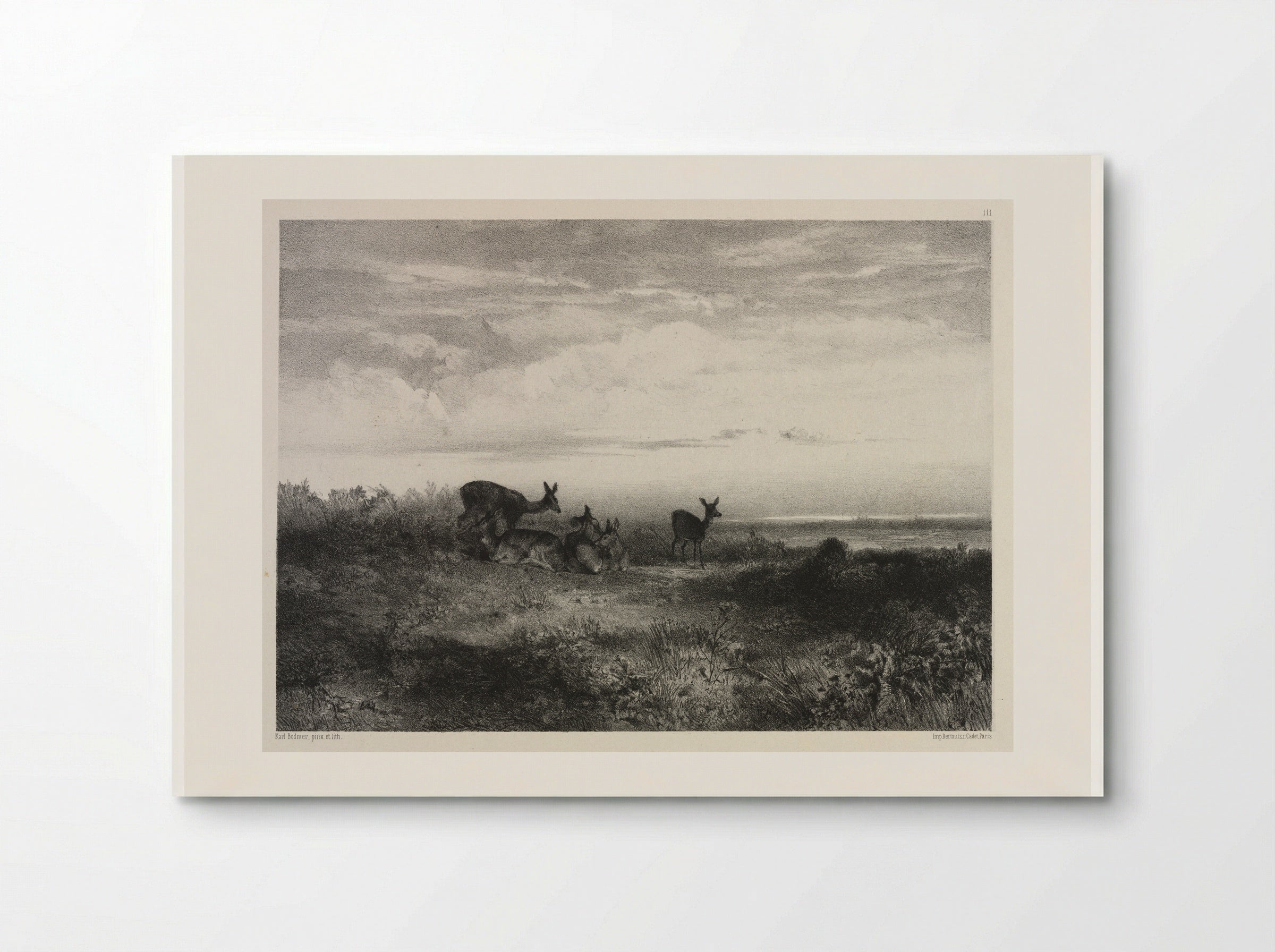 Landscape with Deer - Karl Bodmer - Poster