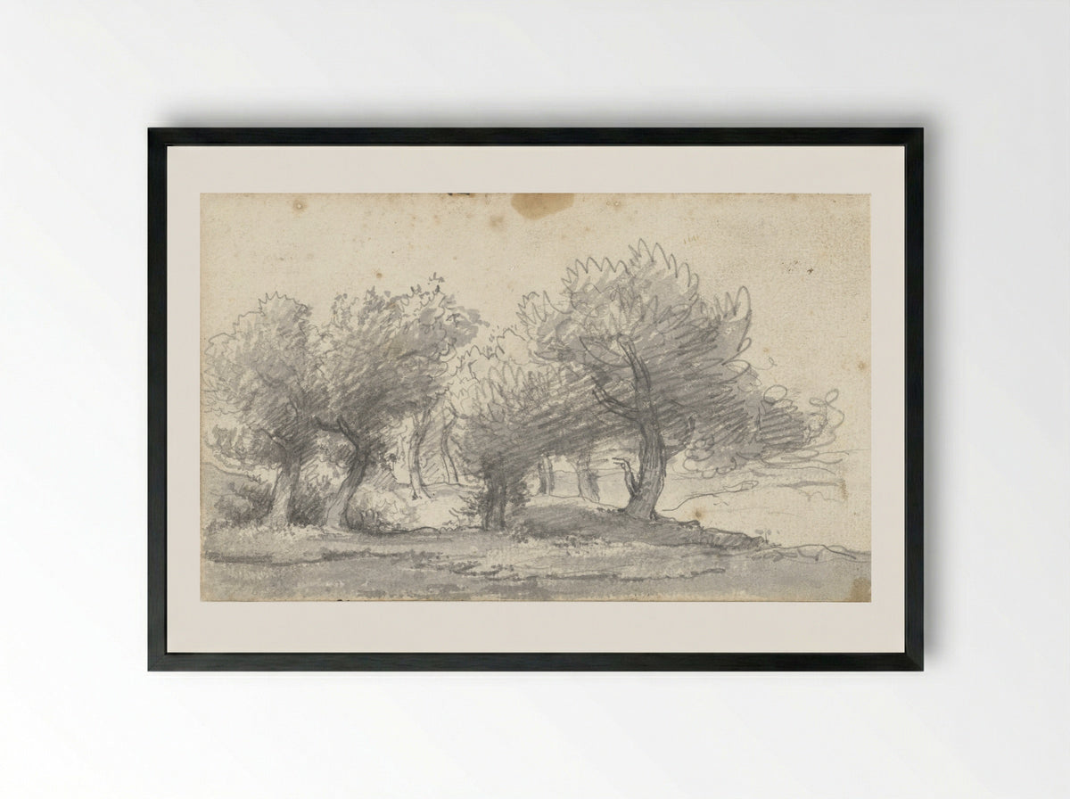 Landschap met bomen (Study of Trees) - Arnoldus Johannes Eymer - Framed Print Black