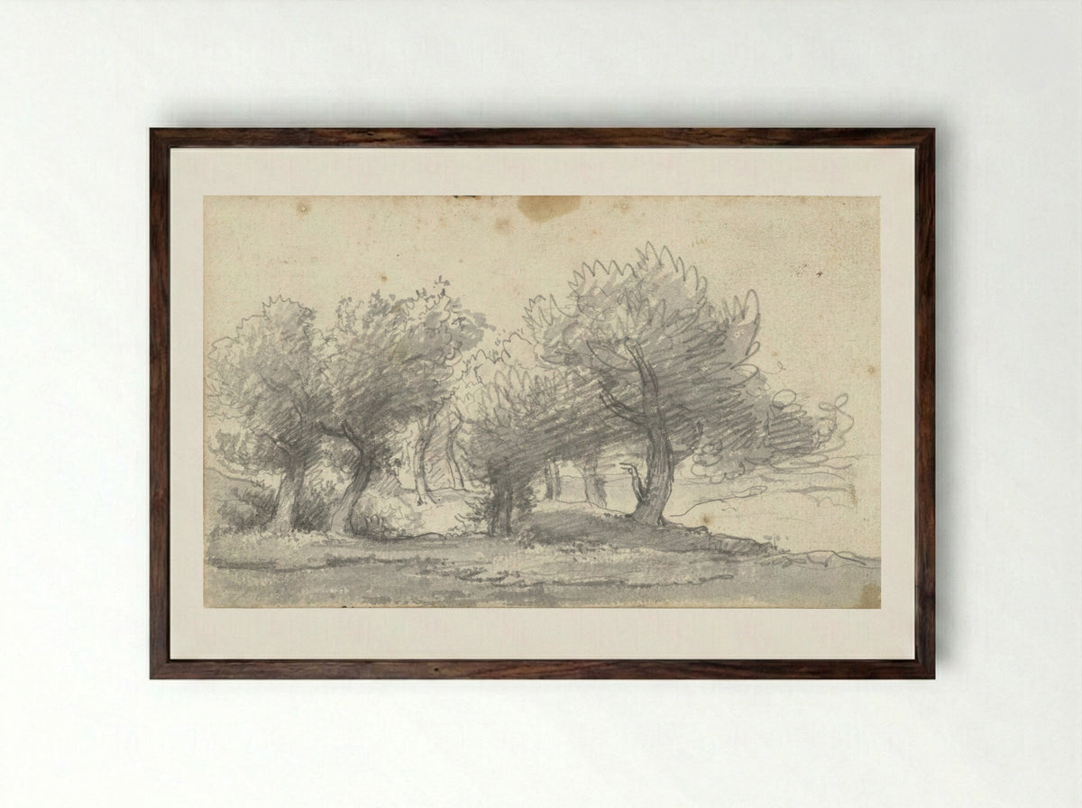 Landschap met bomen (Study of Trees) - Arnoldus Johannes Eymer - Framed Print Dark Wood