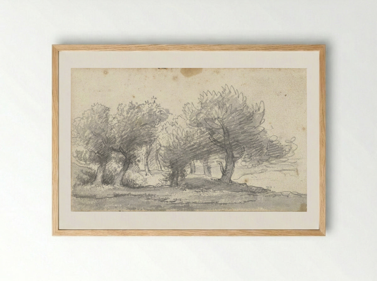 Landschap met bomen (Study of Trees) - Arnoldus Johannes Eymer - Framed Print Wood