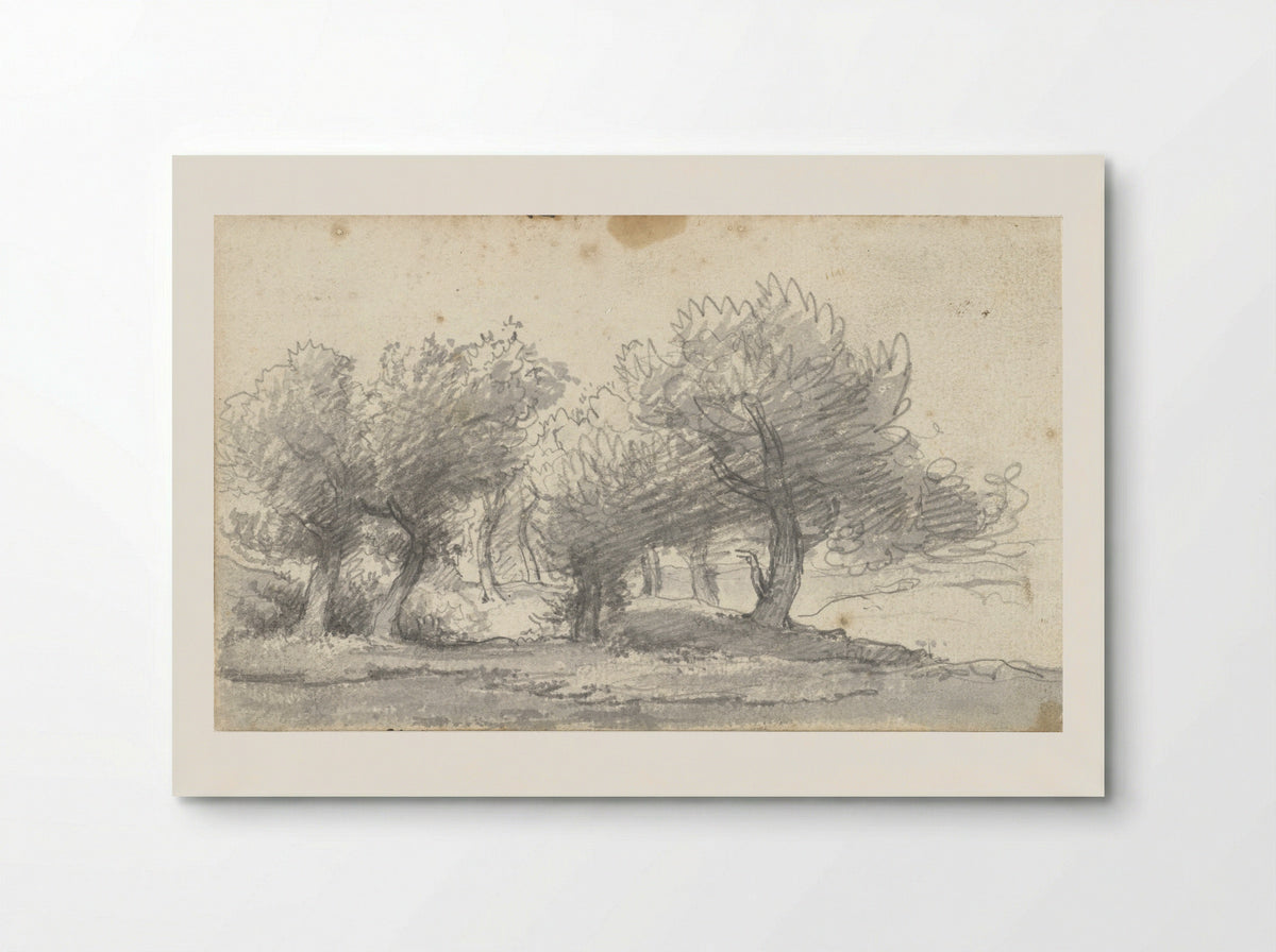 Landschap met bomen (Study of Trees) - Arnoldus Johannes Eymer - Poster