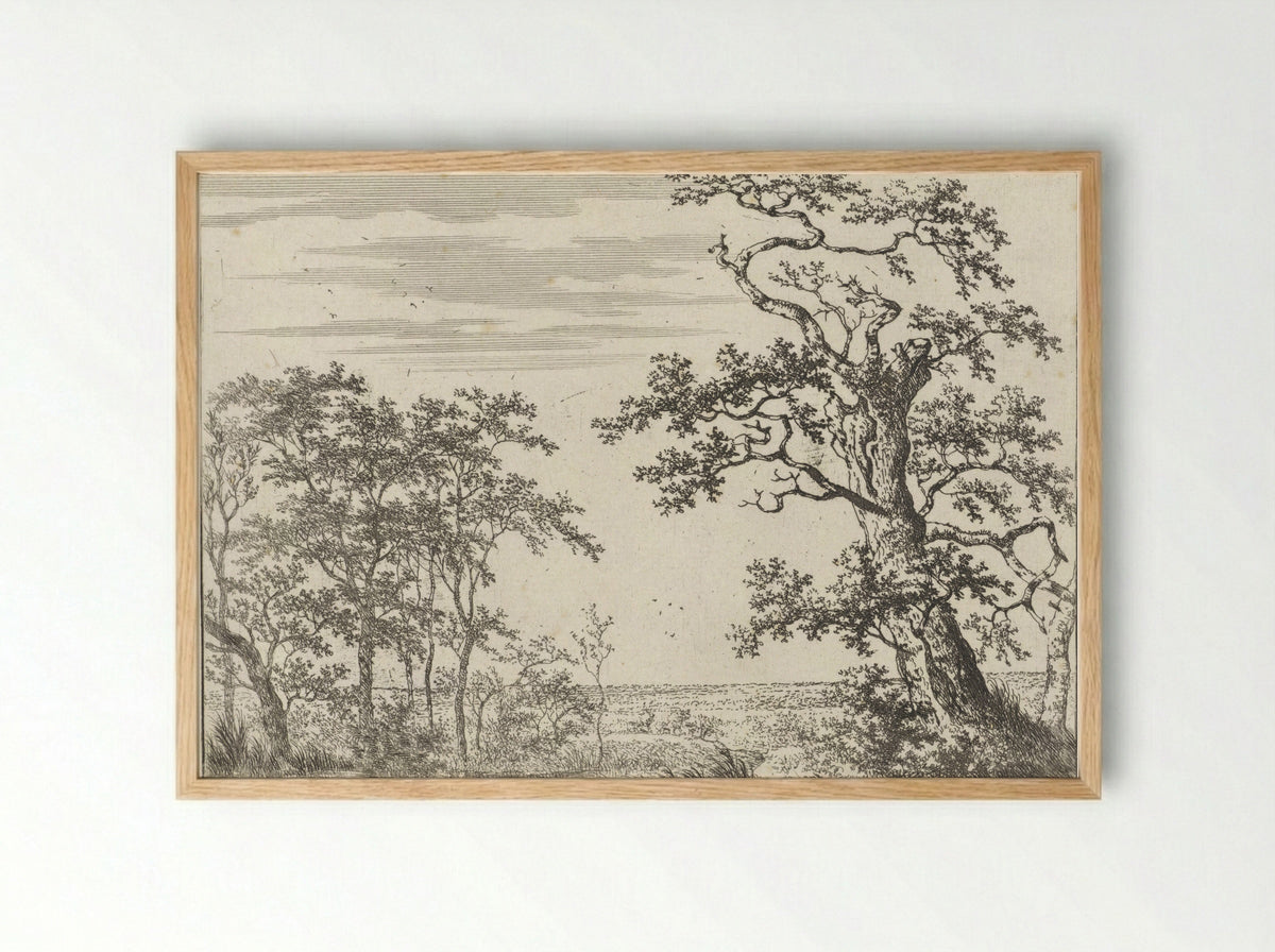 Landschap met een beek - Adriaen Hendriksz. Verboom - Framed Print Wood