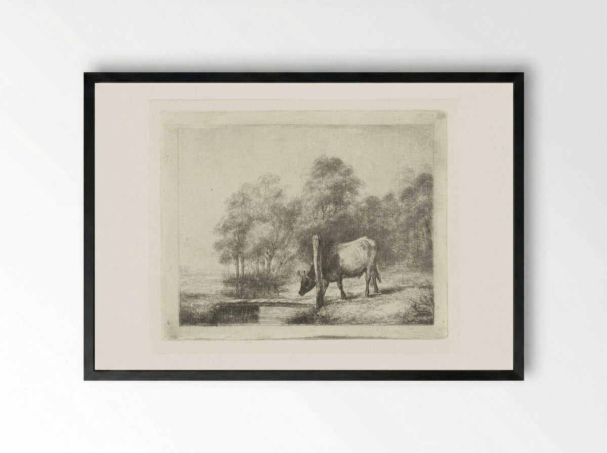 Landschap met een koe naast een sloot - Antonie Franciscus Dona - Framed Print Black