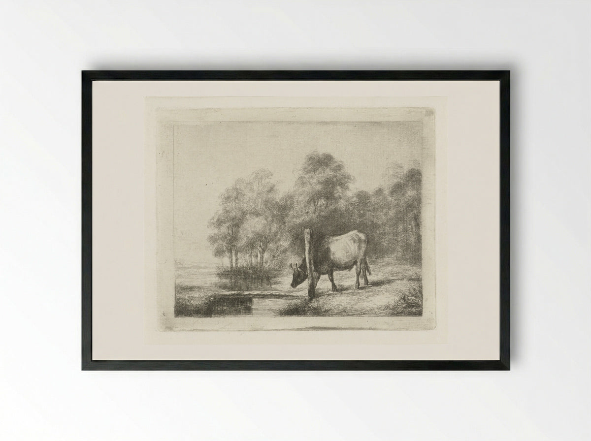Landschap met een koe naast een sloot - Antonie Franciscus Dona - Framed Print Black