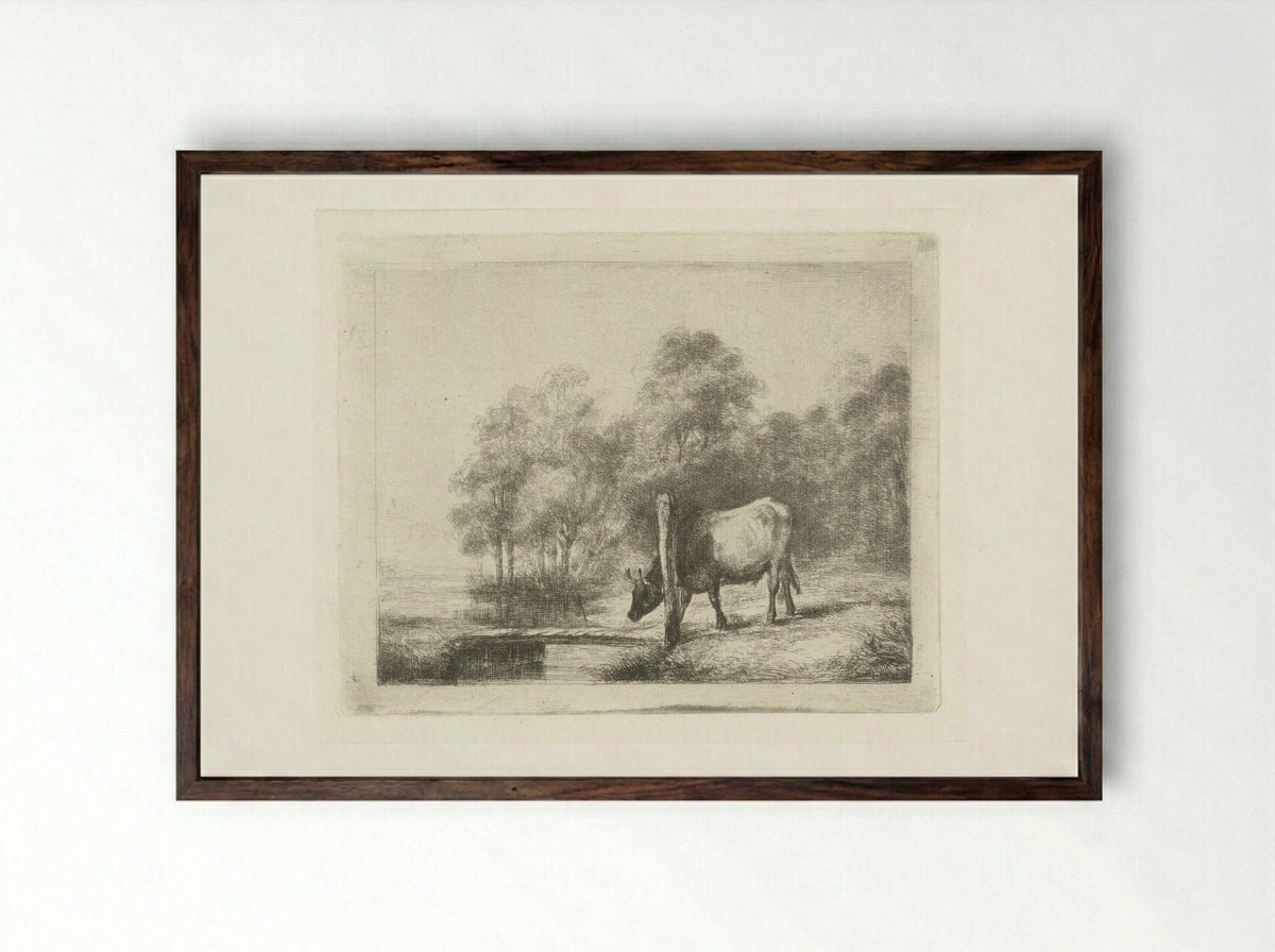 Landschap met een koe naast een sloot - Antonie Franciscus Dona - Framed Print Dark Wood