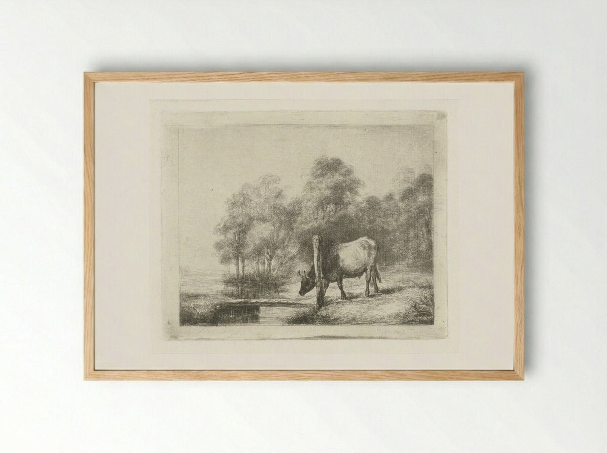 Landschap met een koe naast een sloot - Antonie Franciscus Dona - Framed Print Wood