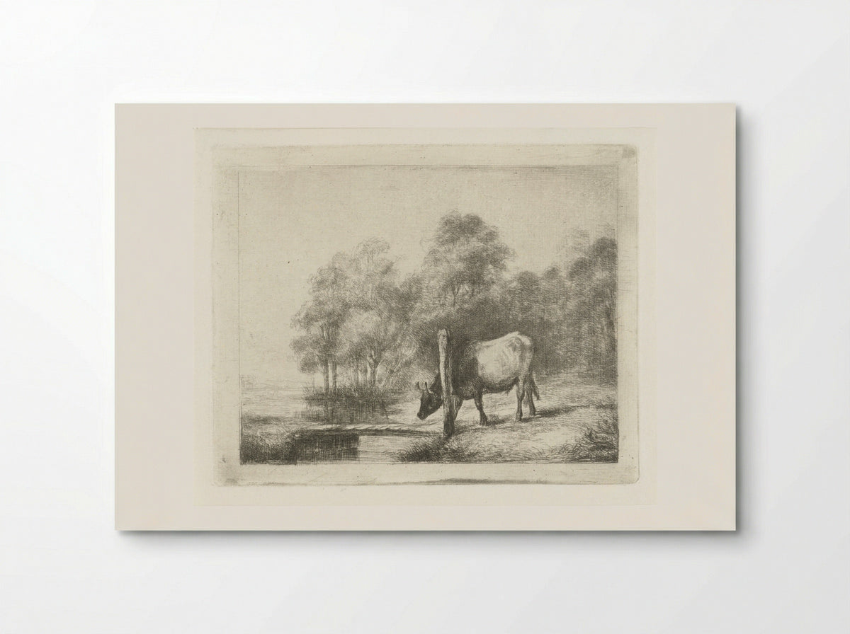 Landschap met een koe naast een sloot - Antonie Franciscus Dona - Poster