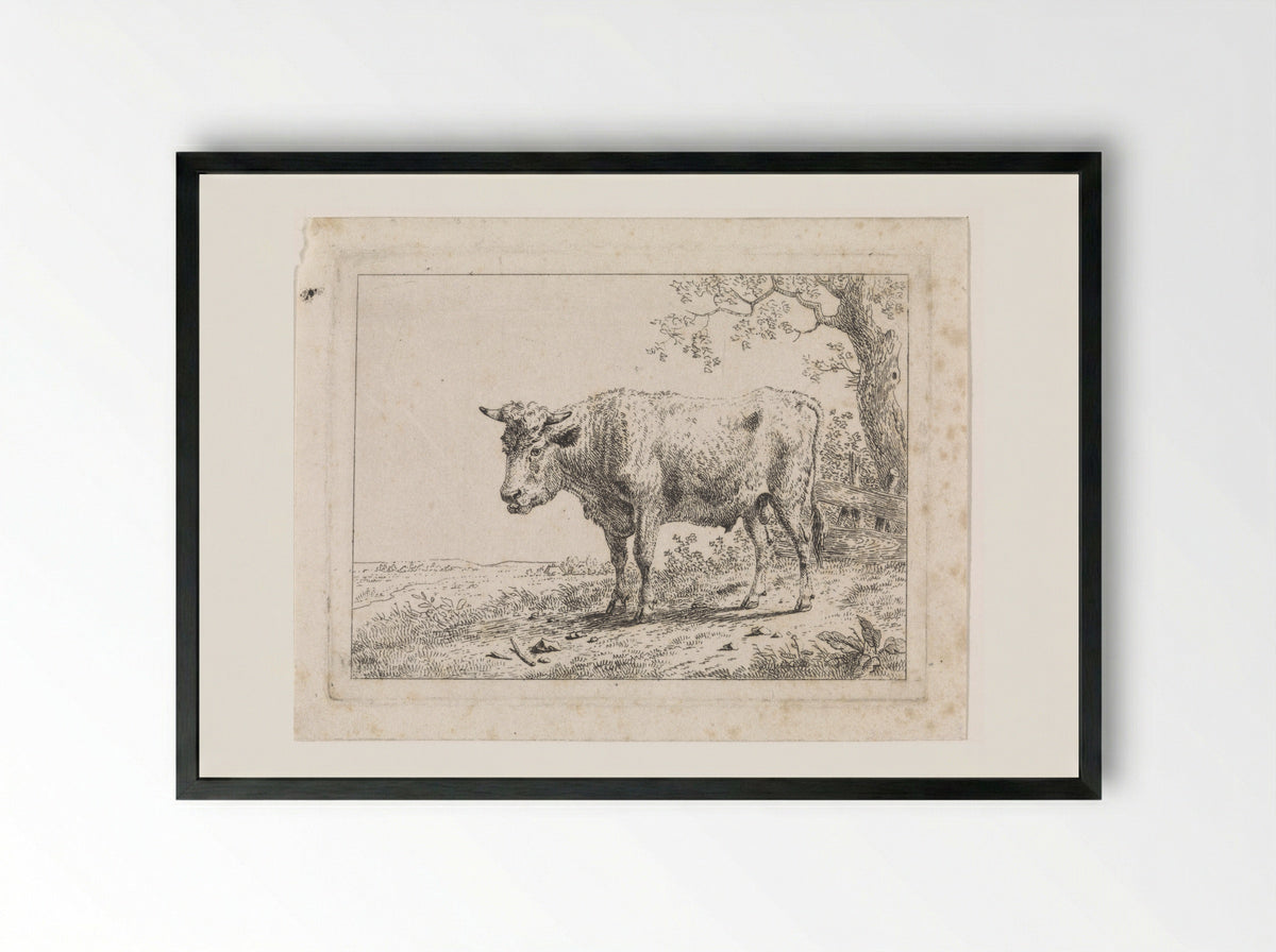 Landschap met stier - Dirk van Oosterhoudt - Framed Print Black