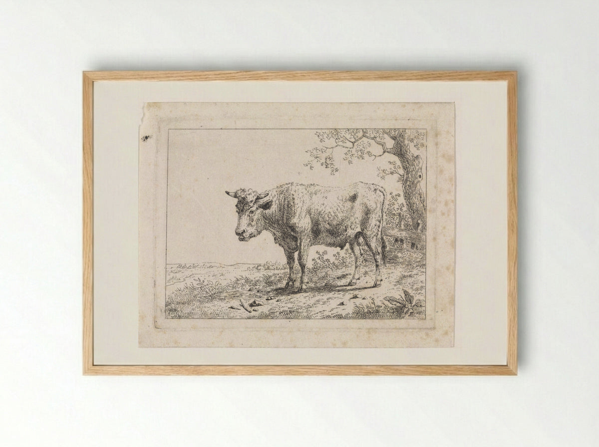 Landschap met stier - Dirk van Oosterhoudt - Framed Print Wood