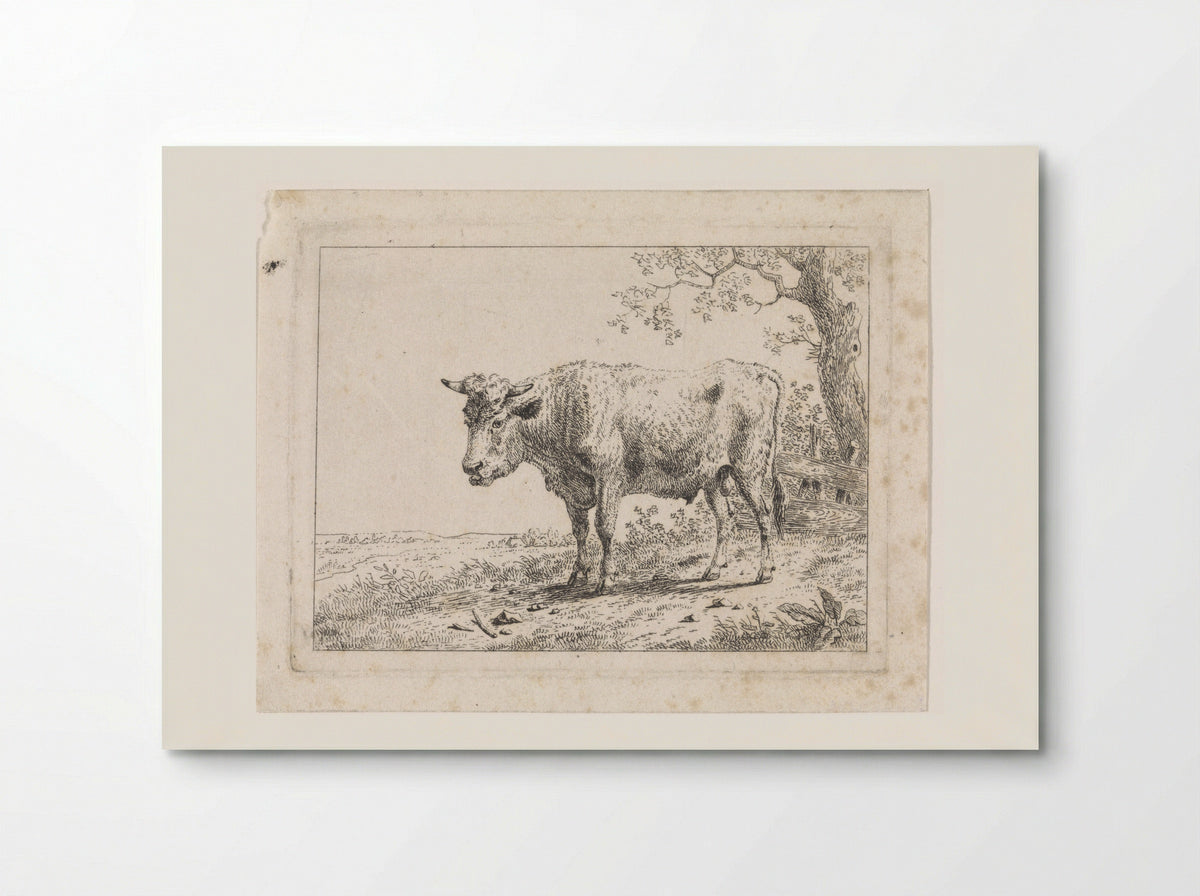 Landschap met stier - Dirk van Oosterhoudt - Poster