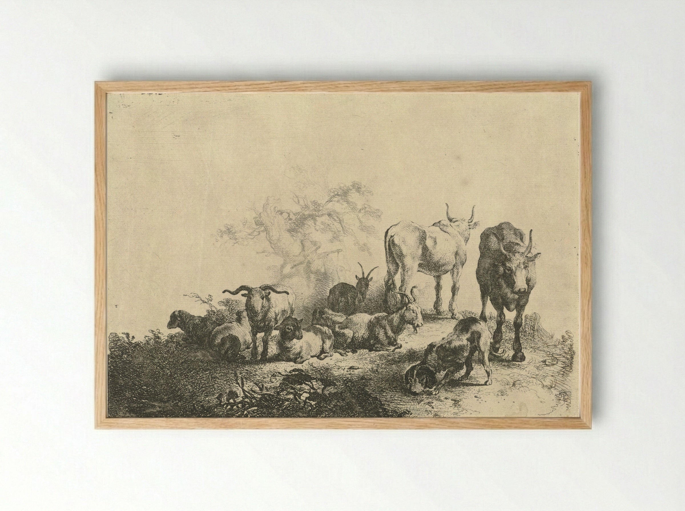 Landschap met vee en een melkmeid - Jan van Noordt - Framed Print Wood
