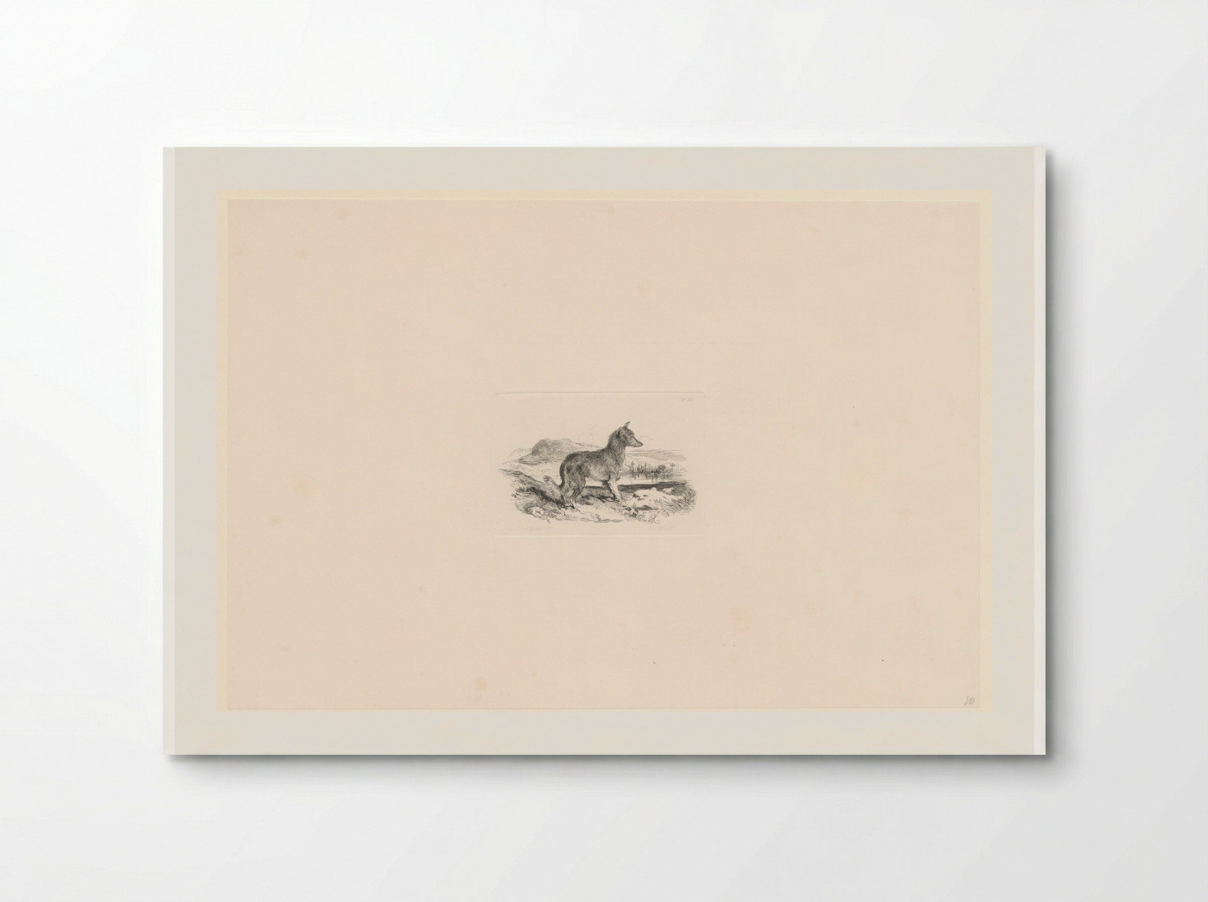 Landschap met waakhond - Edwin Henry Landseer - Poster