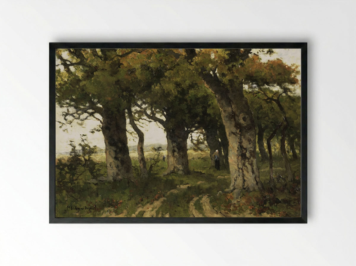 Lane of Oaks in Late Summer - Maria Bilders-van Bosse - Framed Print Black