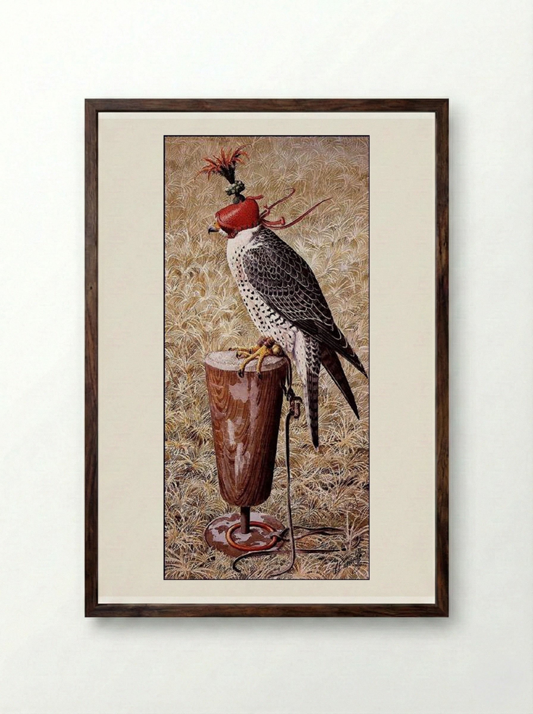 Lanner Falcon on a Block - Charles Tunnicliffe - Framed Print Dark Wood