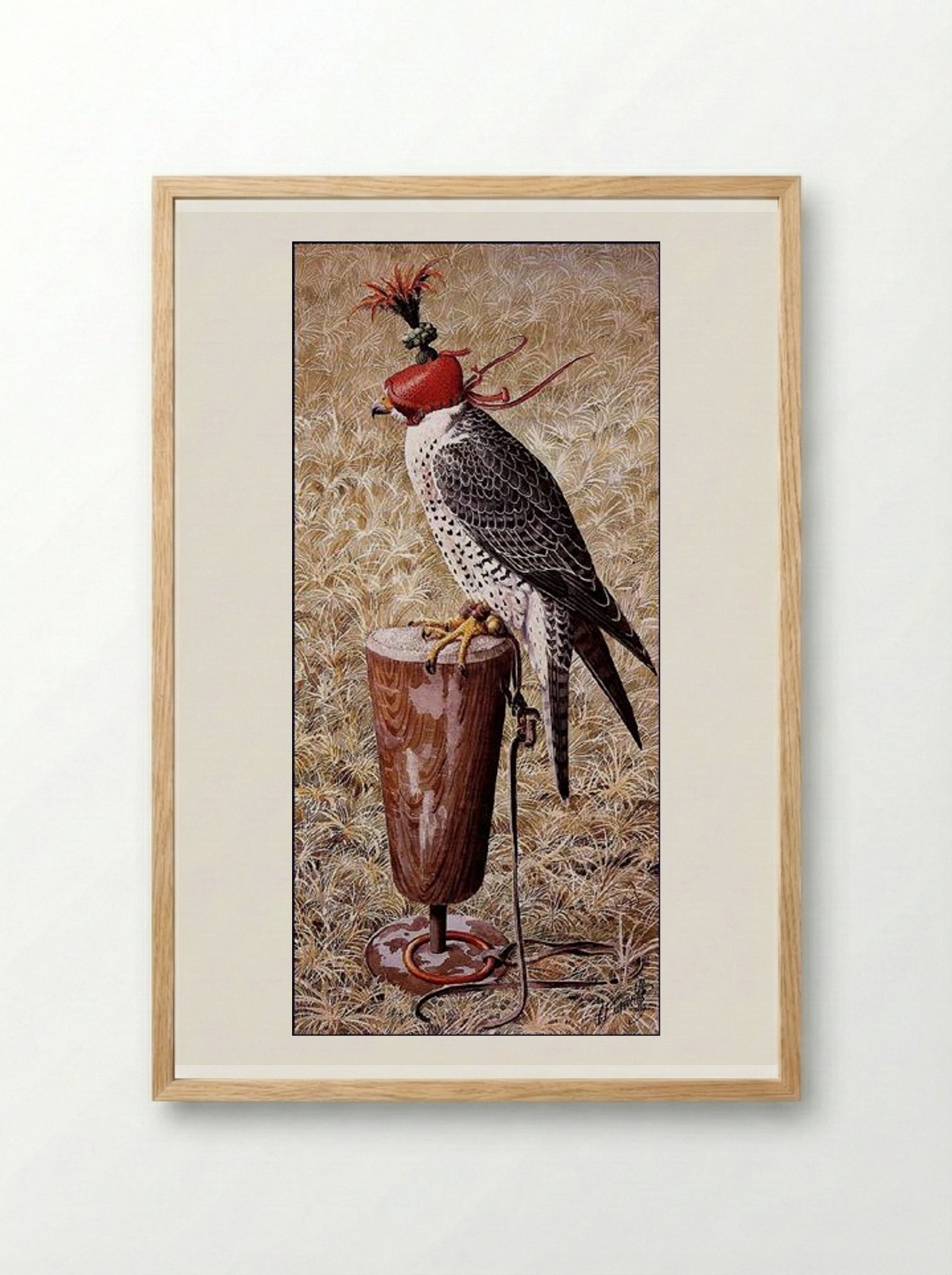 Lanner Falcon on a Block - Charles Tunnicliffe - Framed Print Wood