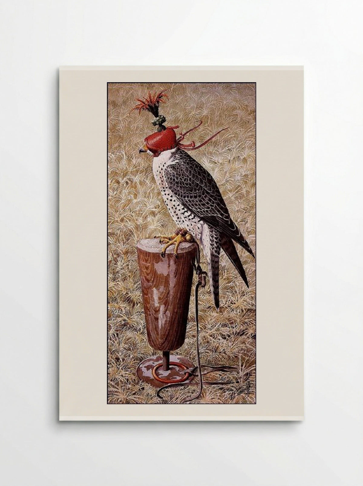 Lanner Falcon on a Block - Charles Tunnicliffe - Poster