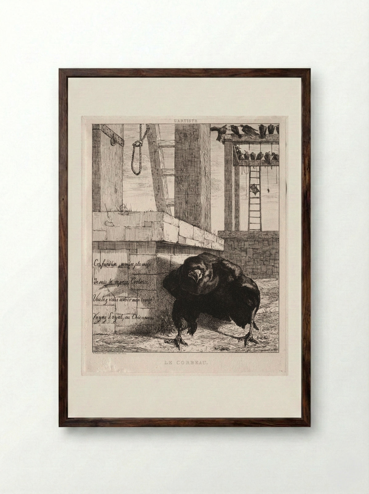 Le Corbeau (The Raven) - Félix Bracquemond - Framed Print Dark Wood