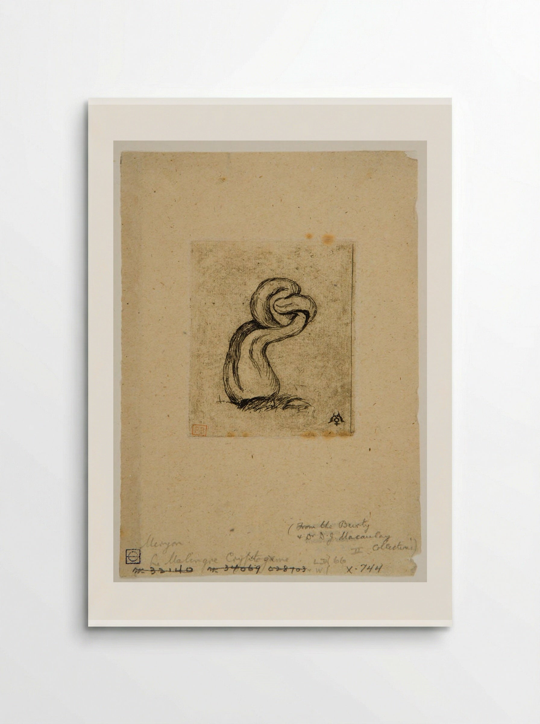 Le malingre cryptogame - Charles Meryon - Poster