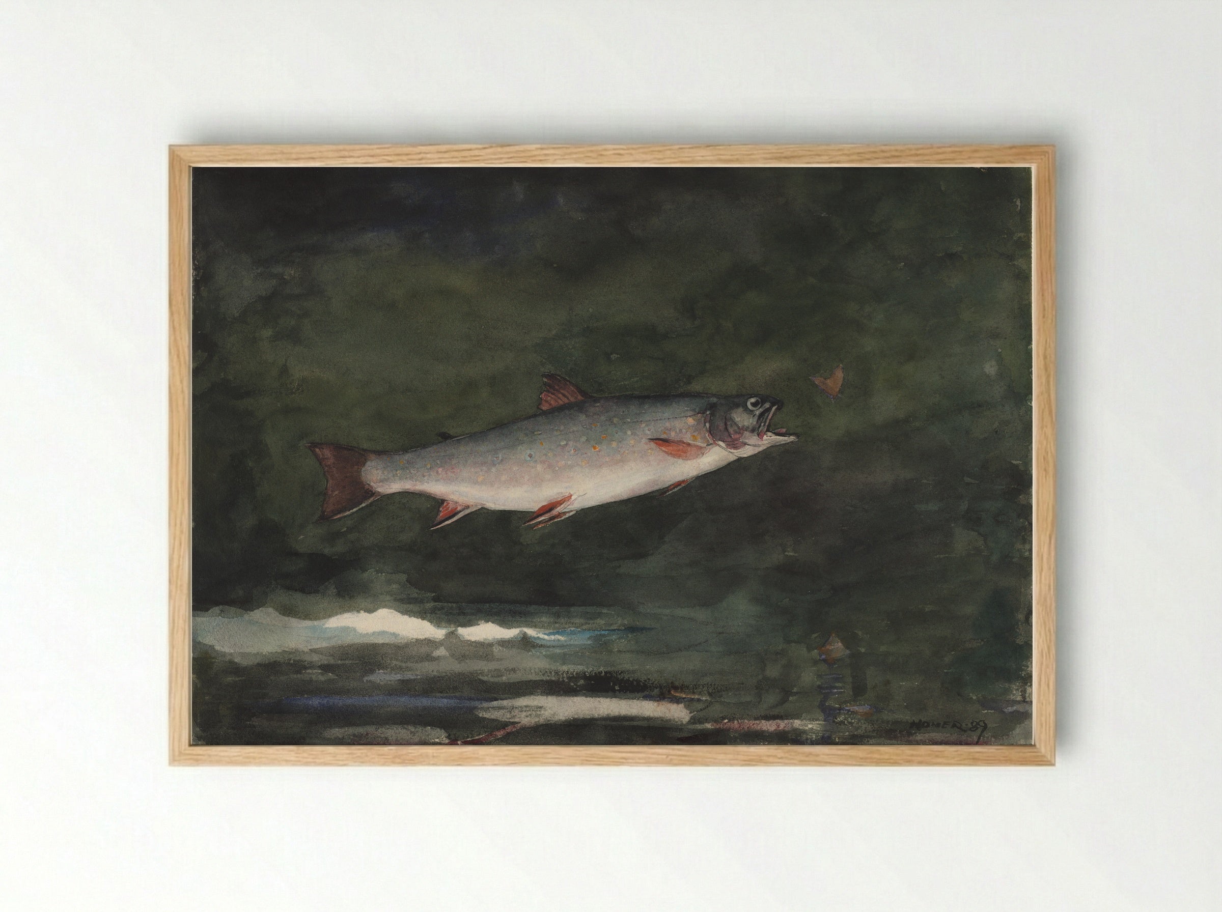 Leaping Trout (Adirondacks) - Winslow Homer - Framed Print Wood