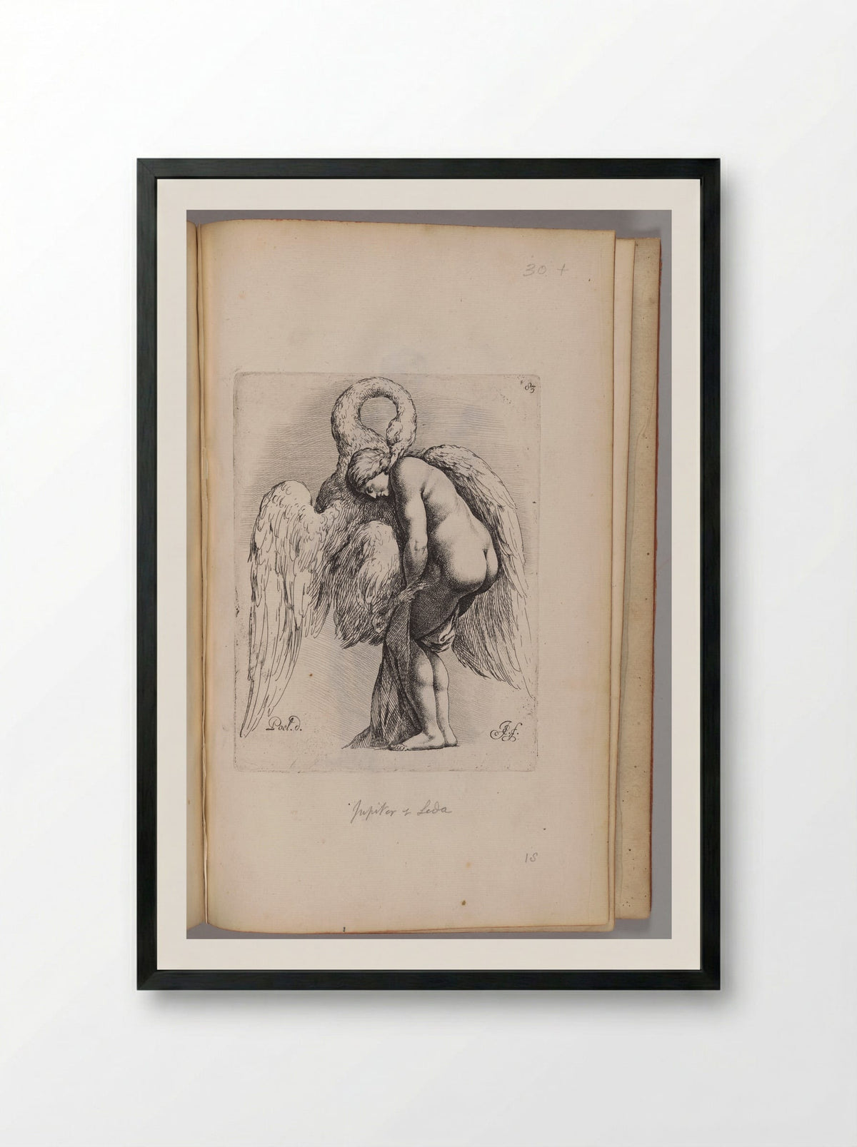 Leda and the Swan - Jan de Bisschop - Framed Print Black