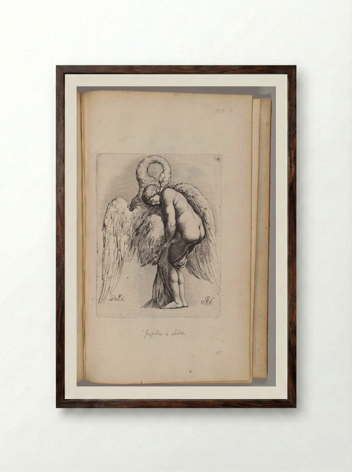 Leda and the Swan - Jan de Bisschop - Framed Print Dark Wood