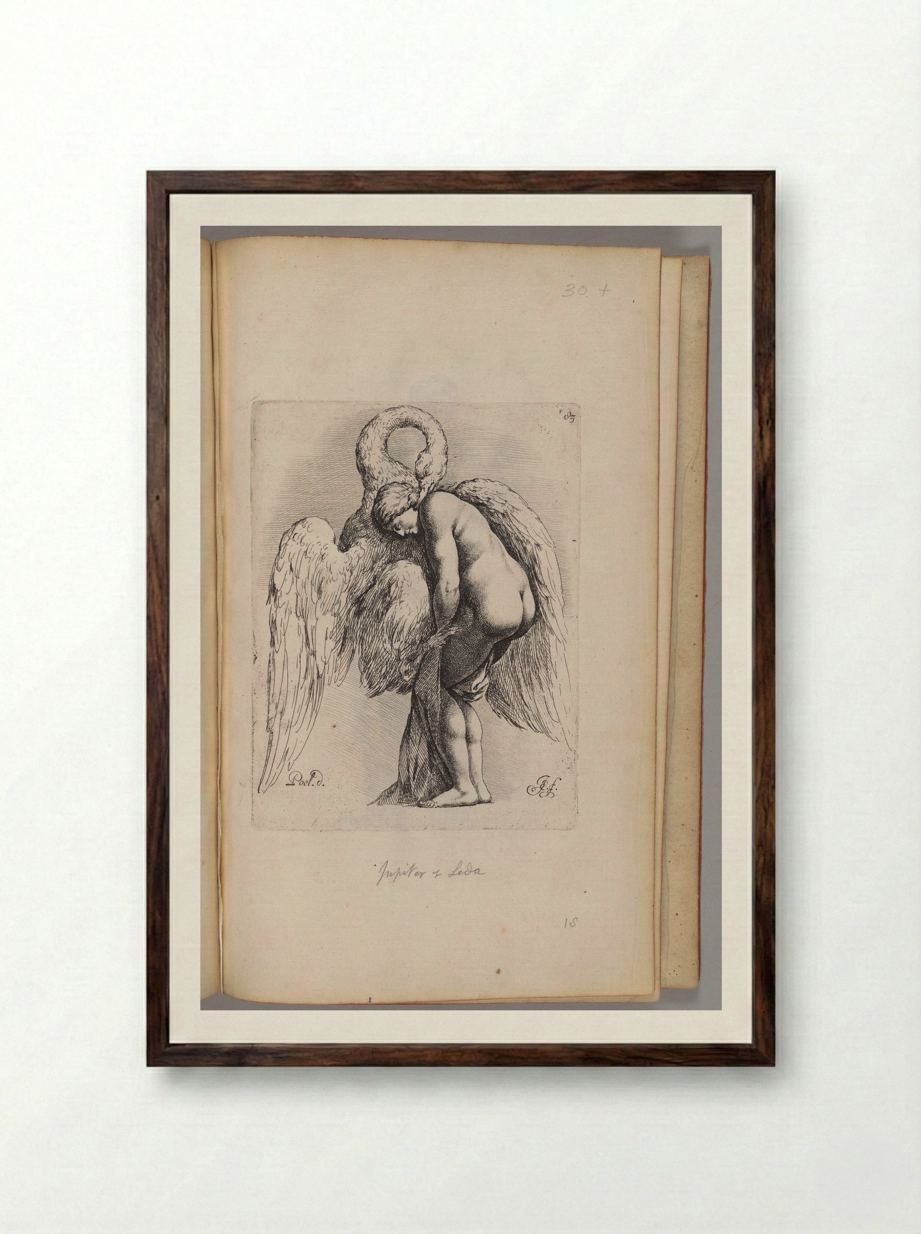 Leda and the Swan - Jan de Bisschop - Framed Print Dark Wood