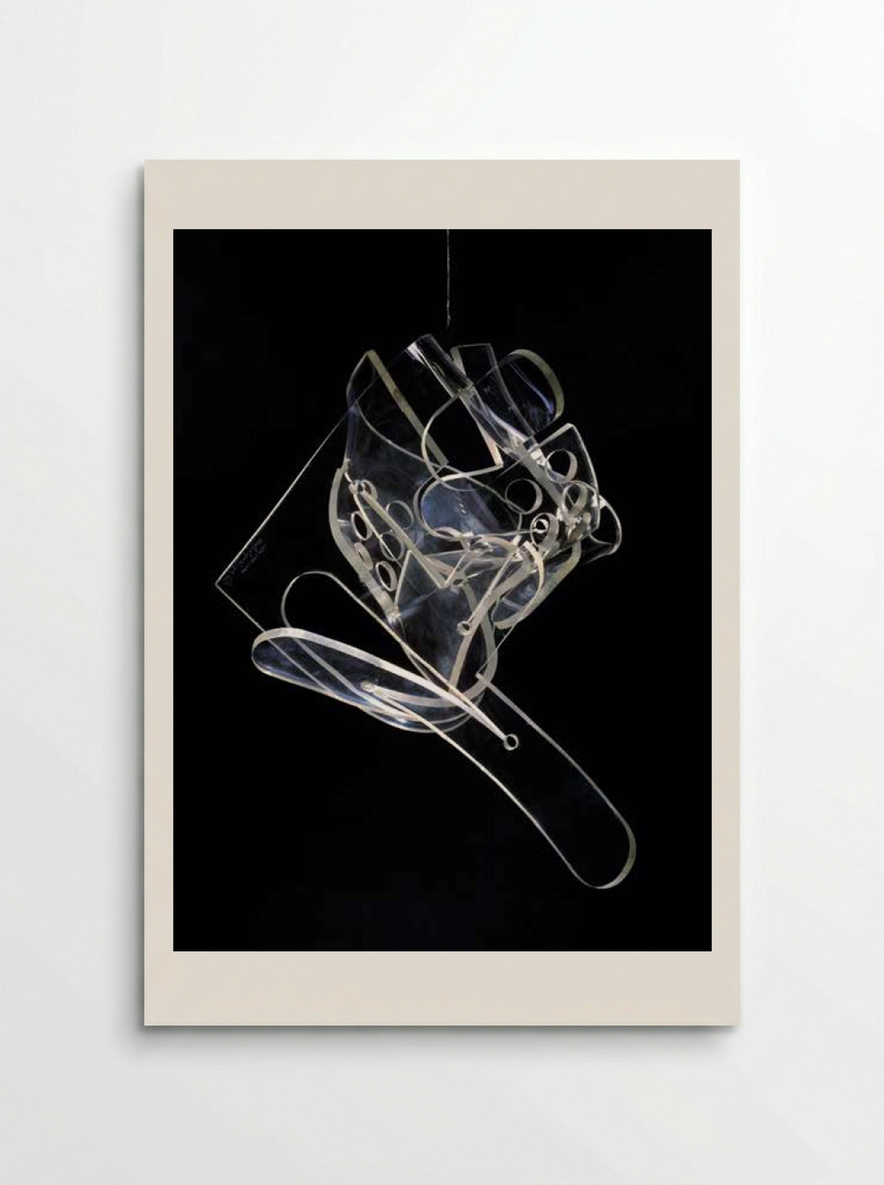 Leda and the Swan - László Moholy-Nagy - Poster
