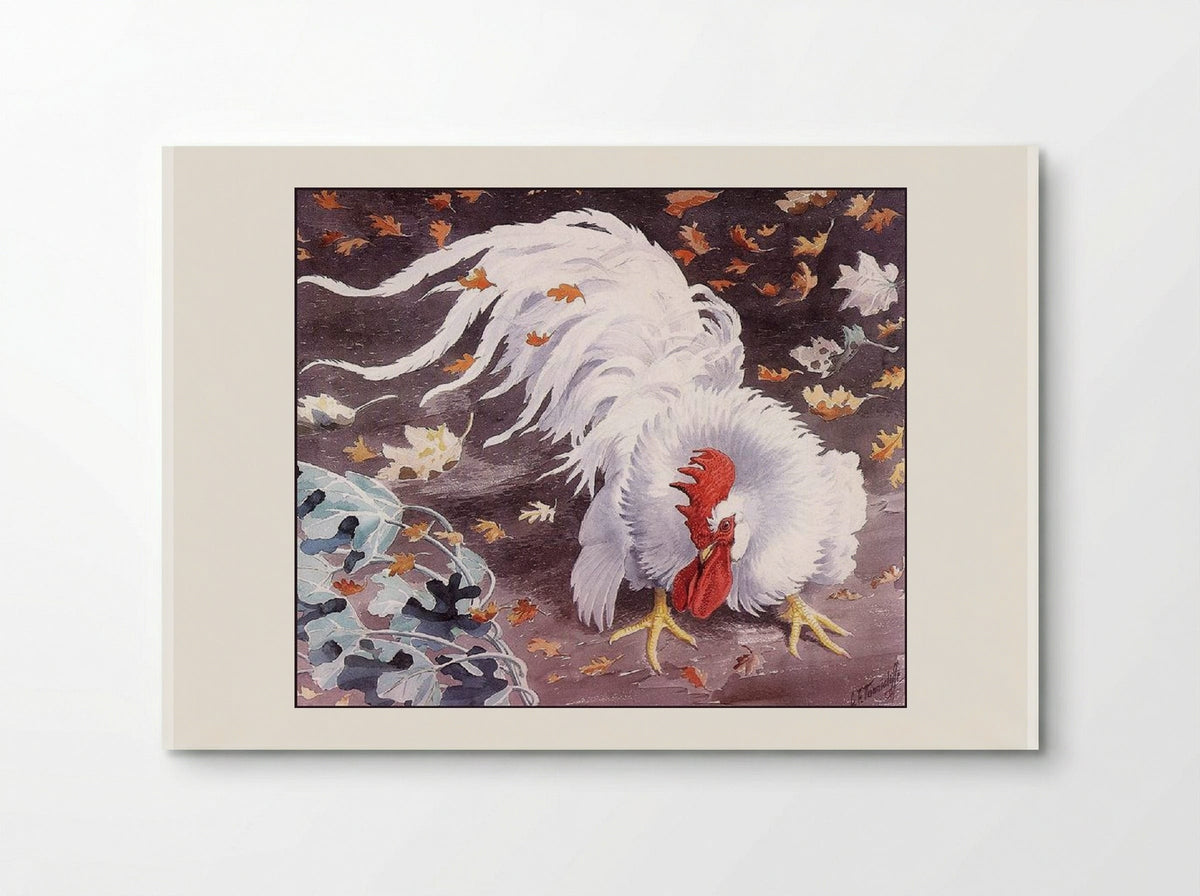 Leghorn Cockerel - Charles Tunnicliffe - Poster