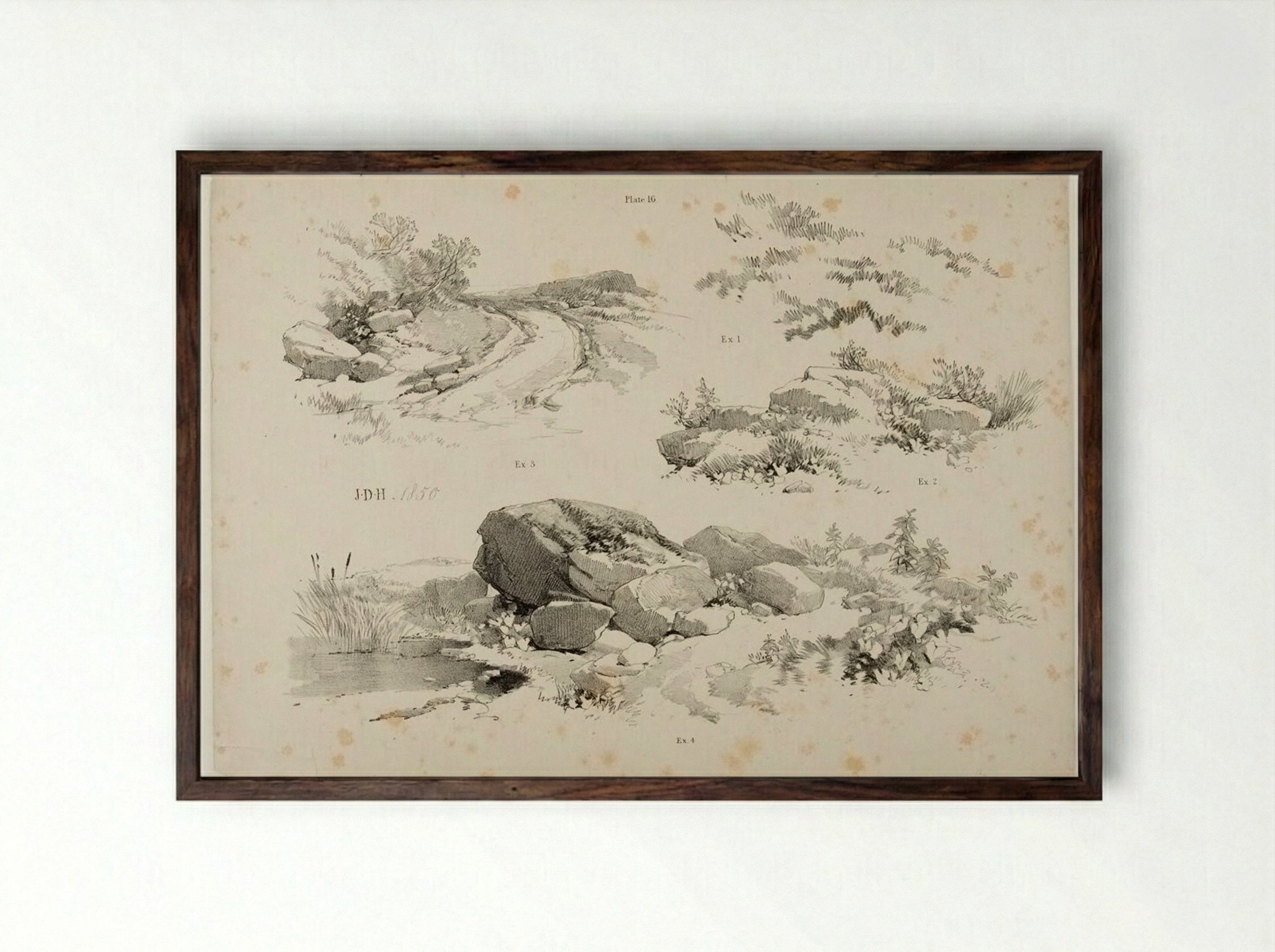 Lessons on Trees, plate 16 - James Duffield Harding - Framed Print Dark Wood