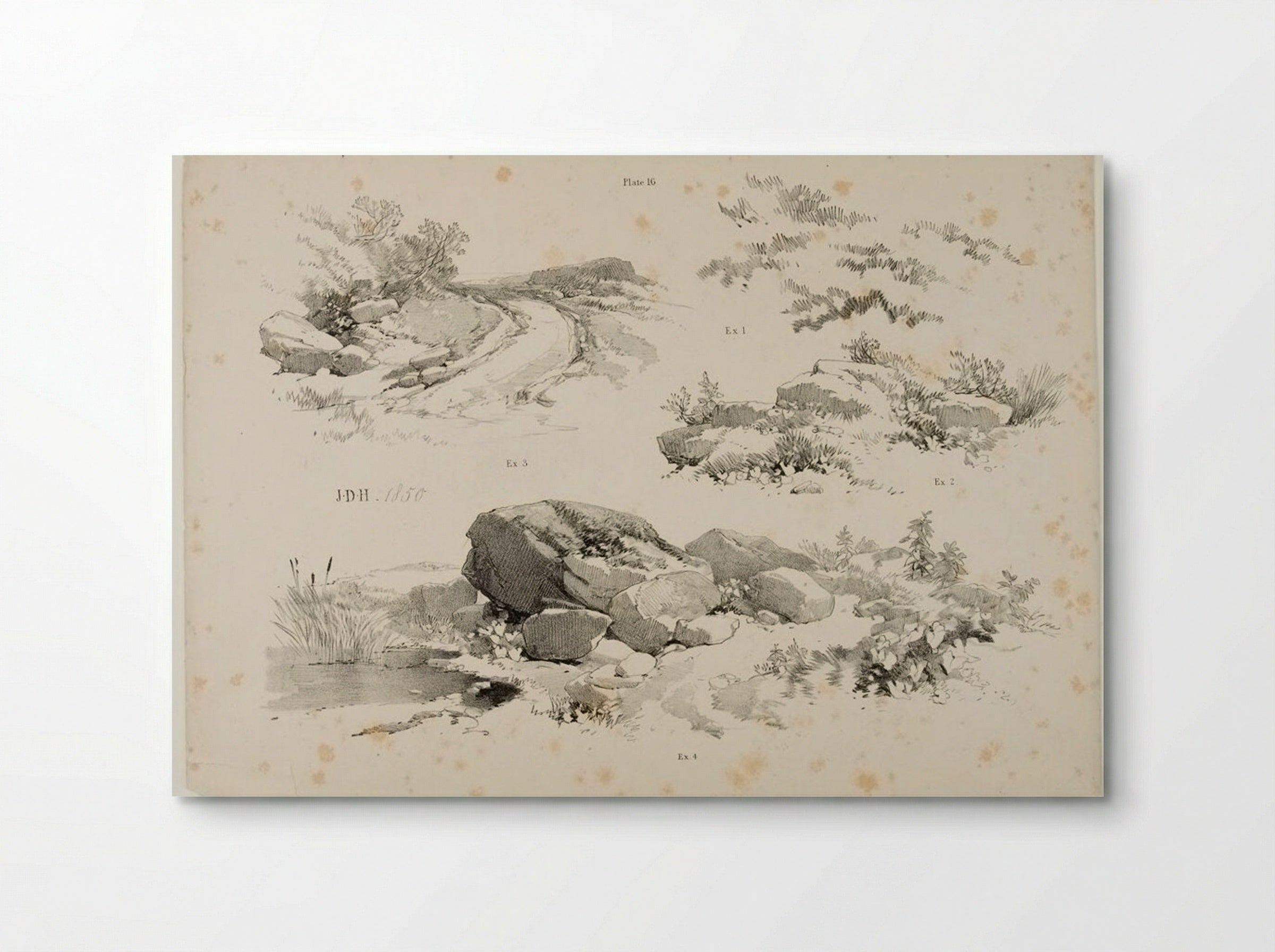 Lessons on Trees, plate 16 - James Duffield Harding - Poster