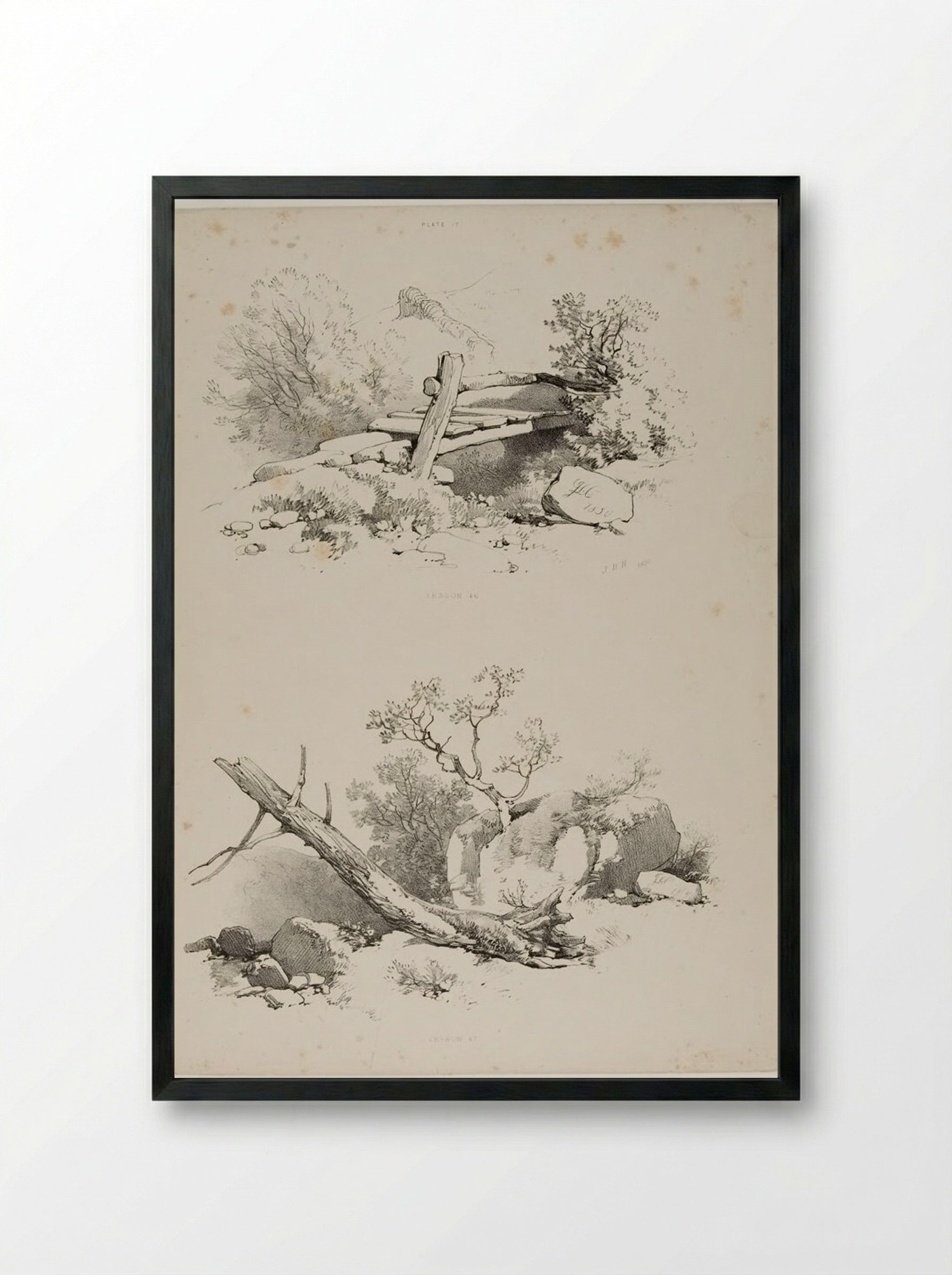 Lessons on Trees, plate 17 - James Duffield Harding - Framed Print Black